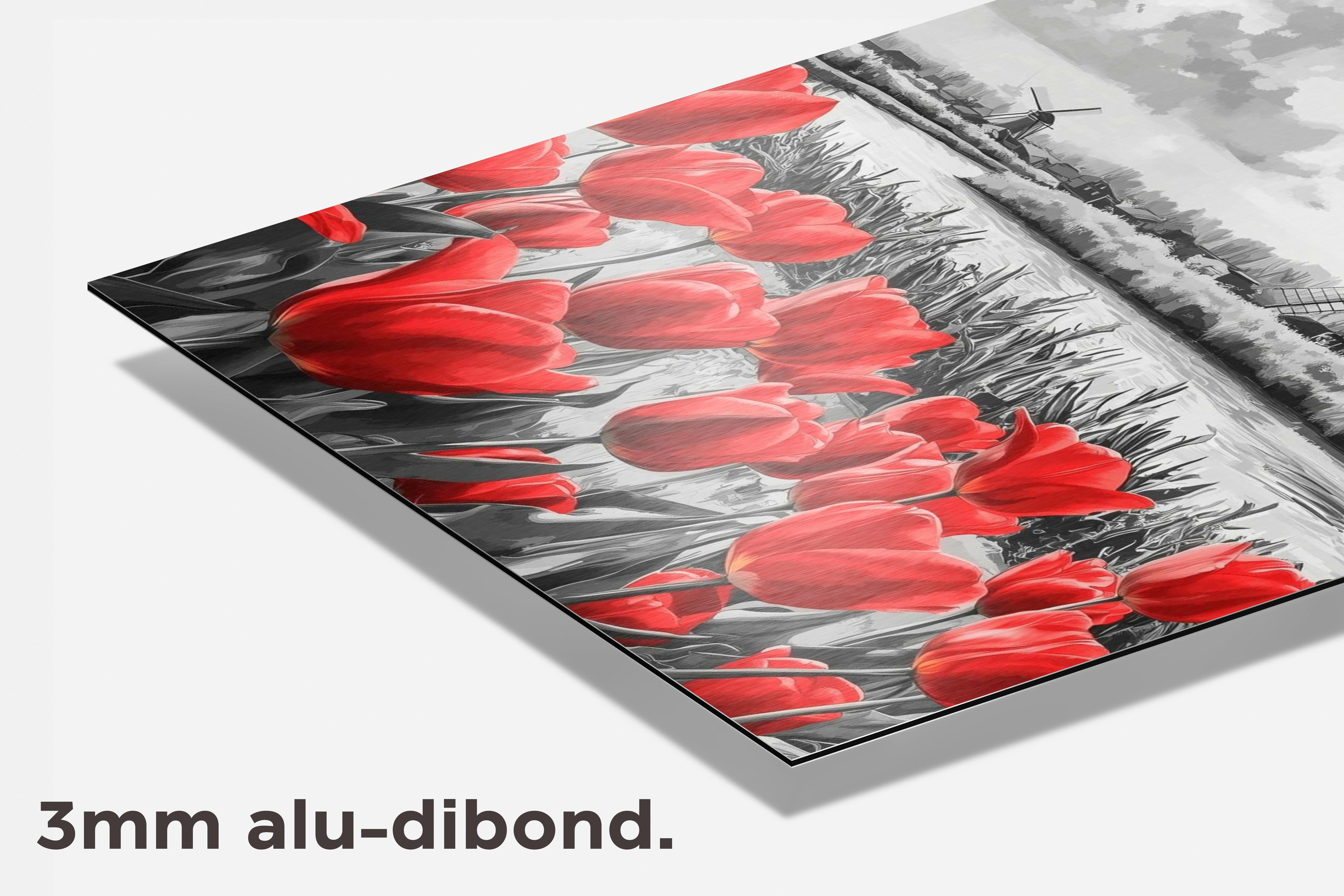 Rode Tulpen dibond detail