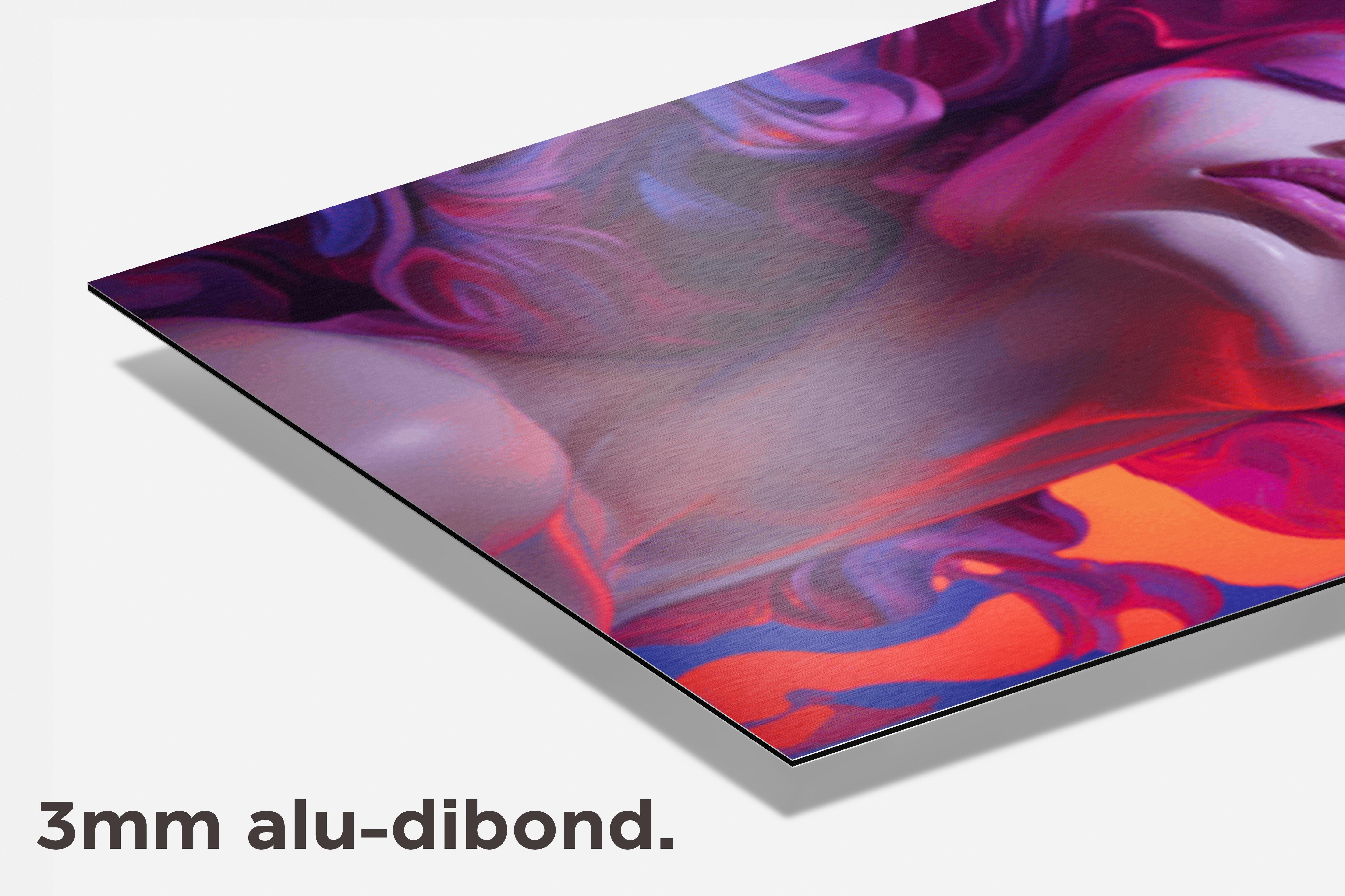 Vrouw Glans dibond detail