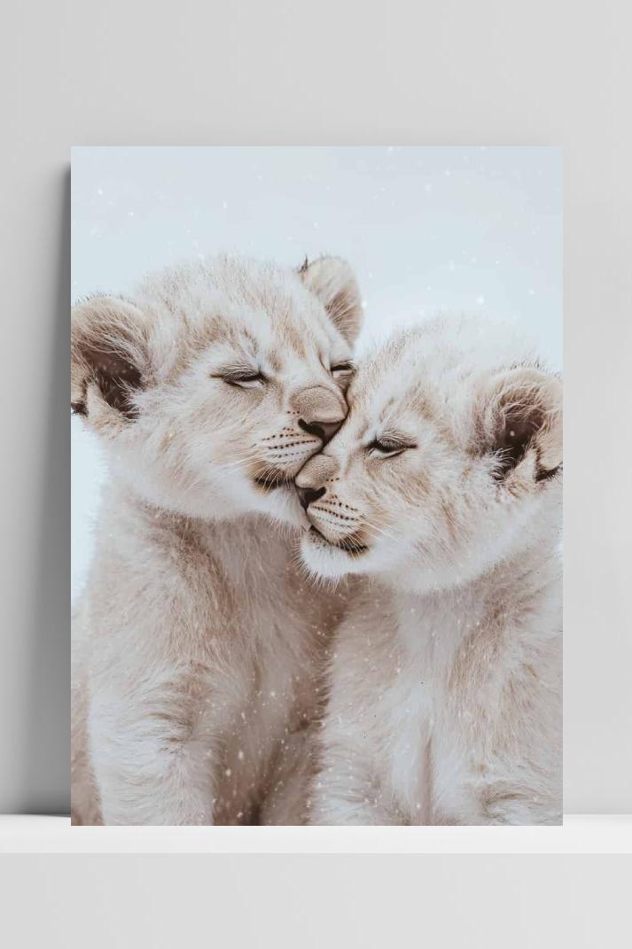 Witte Welpen op 3mm aluminium dibond