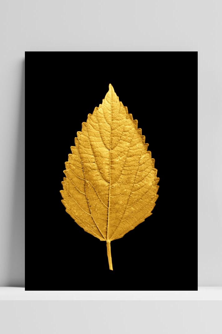 Gouden Blad op 3mm aluminium dibond