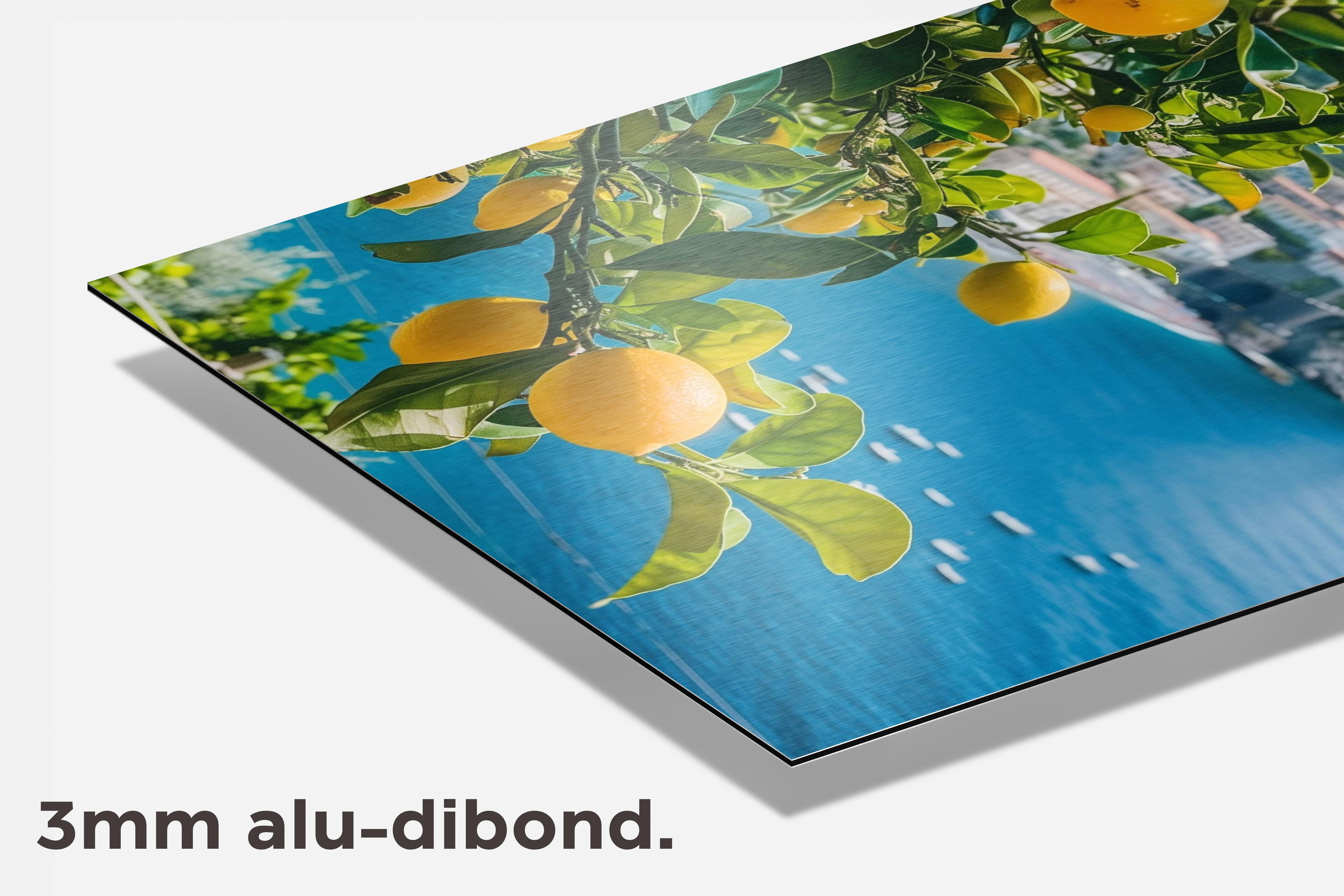 Citroenen Amalfi dibond detail