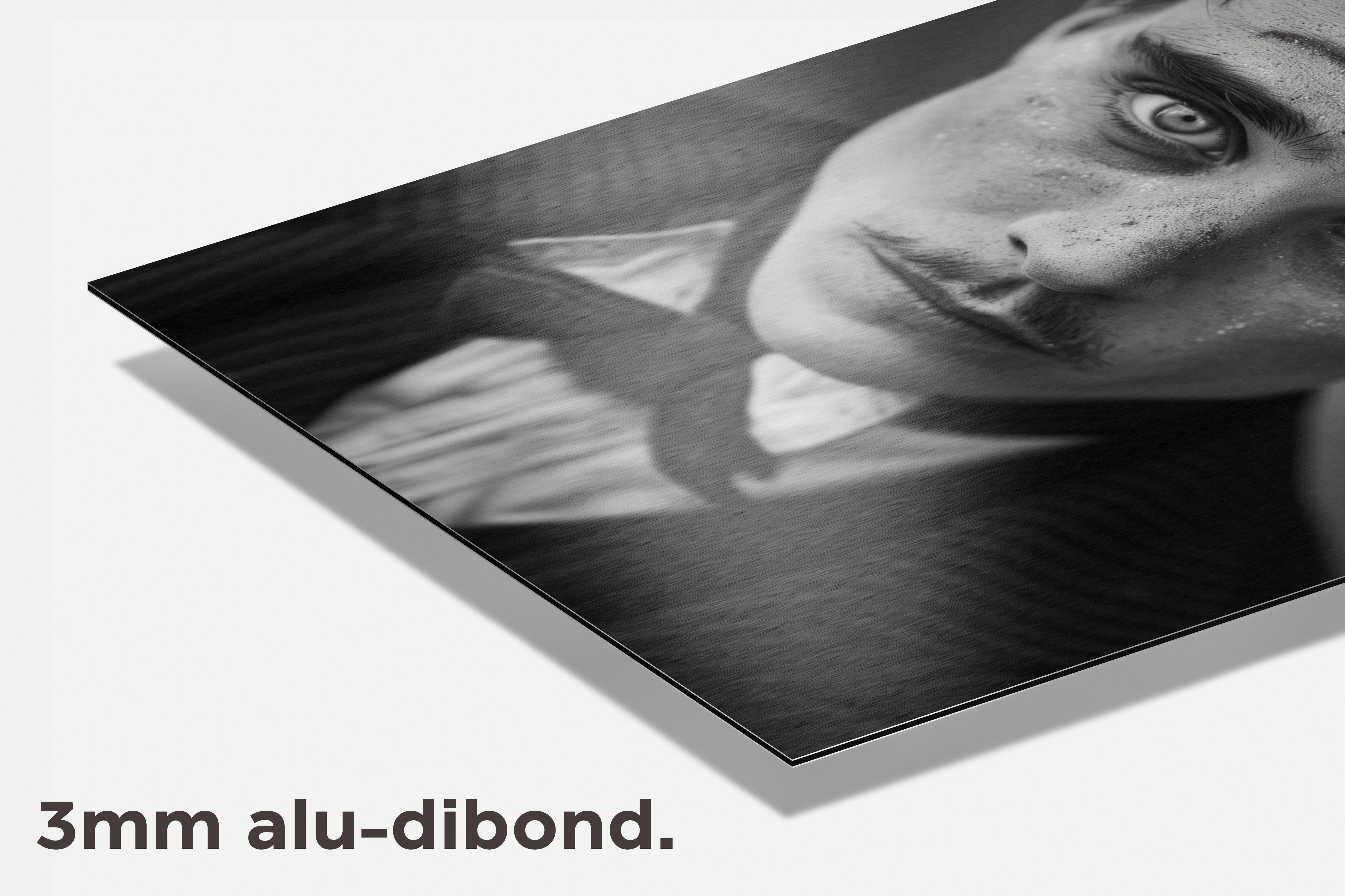 Charlie Chaplin Zwart Wit dibond detail