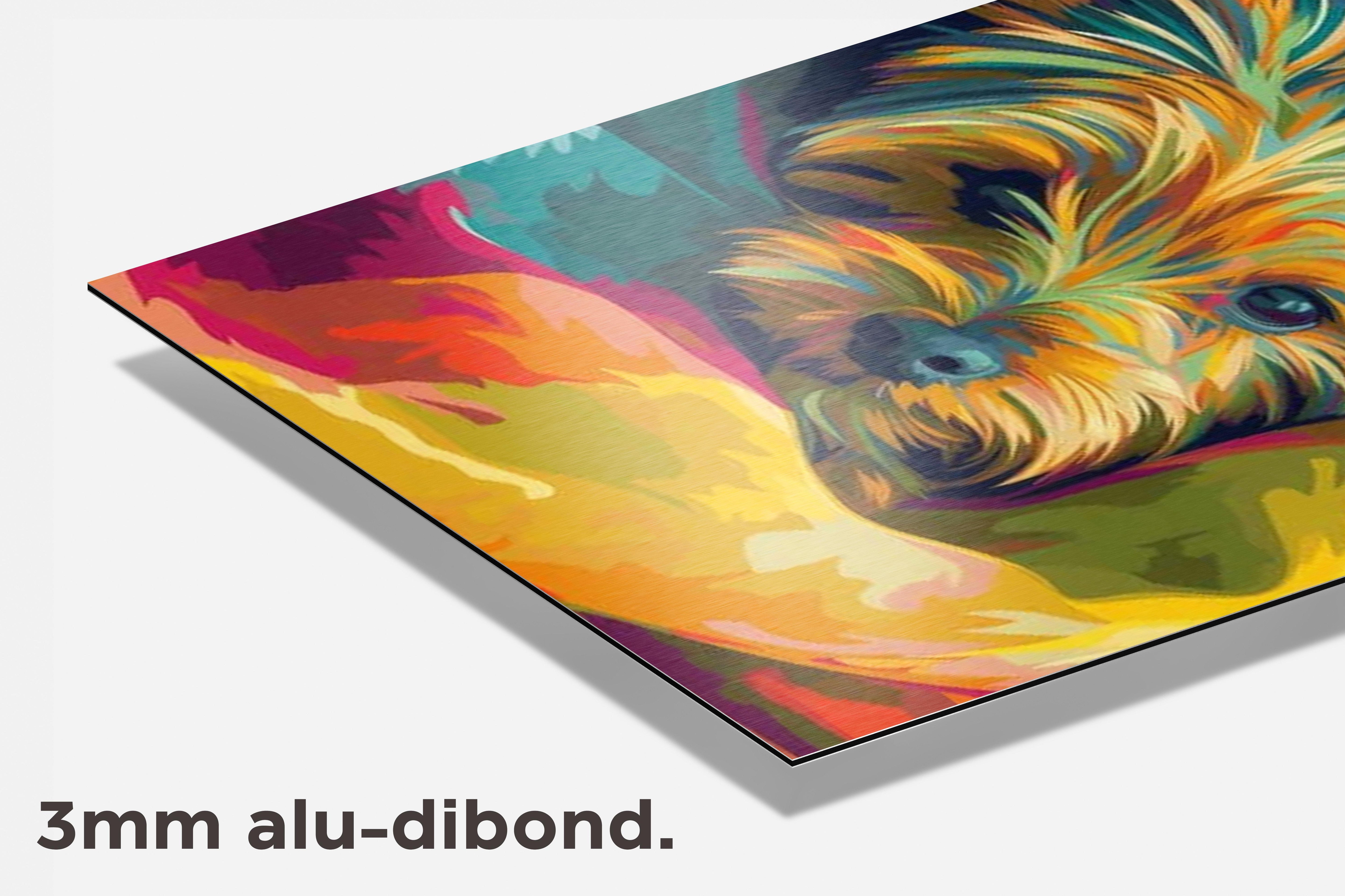 Kleurrijke Hond dibond detail