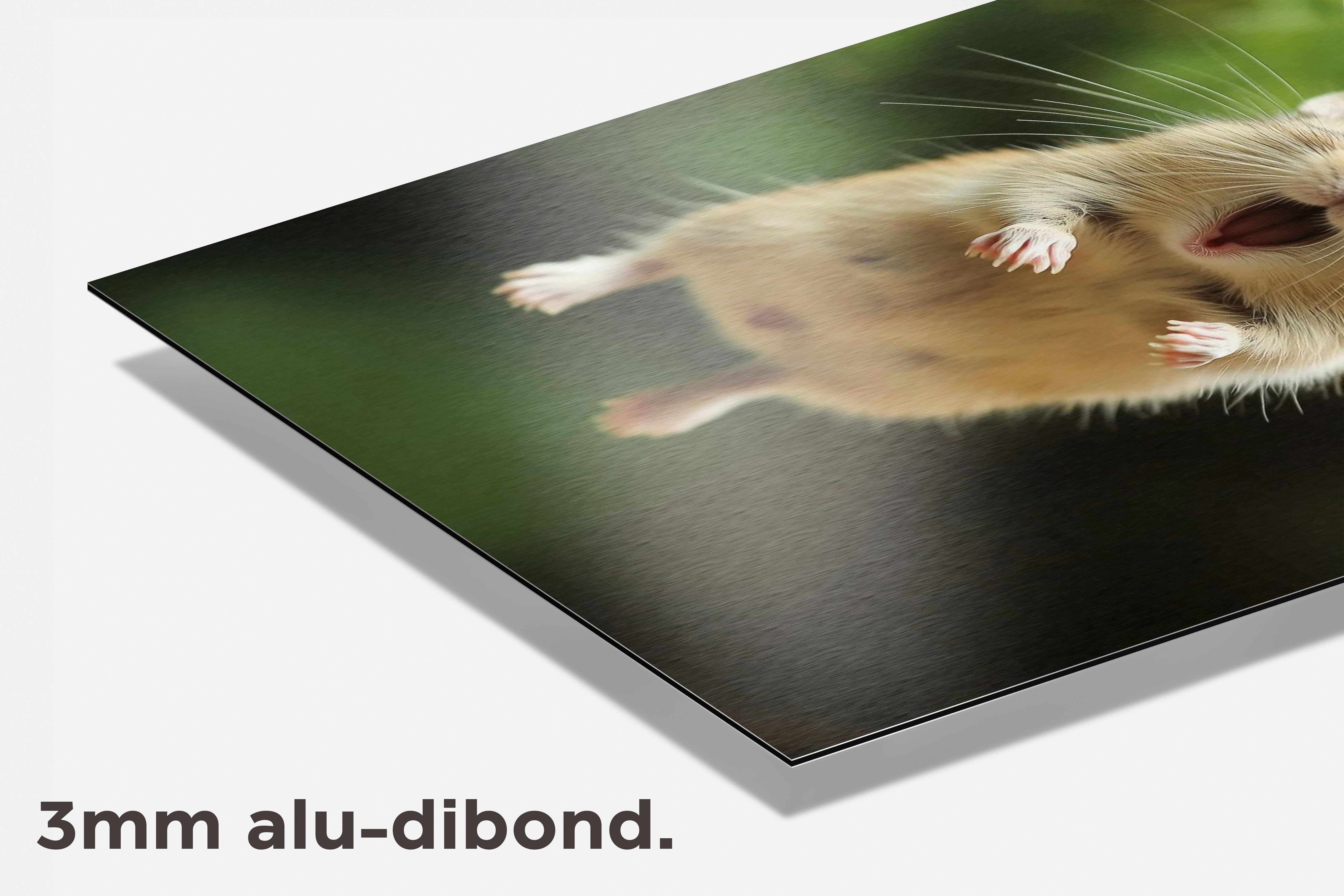 Grappige Muis dibond detail