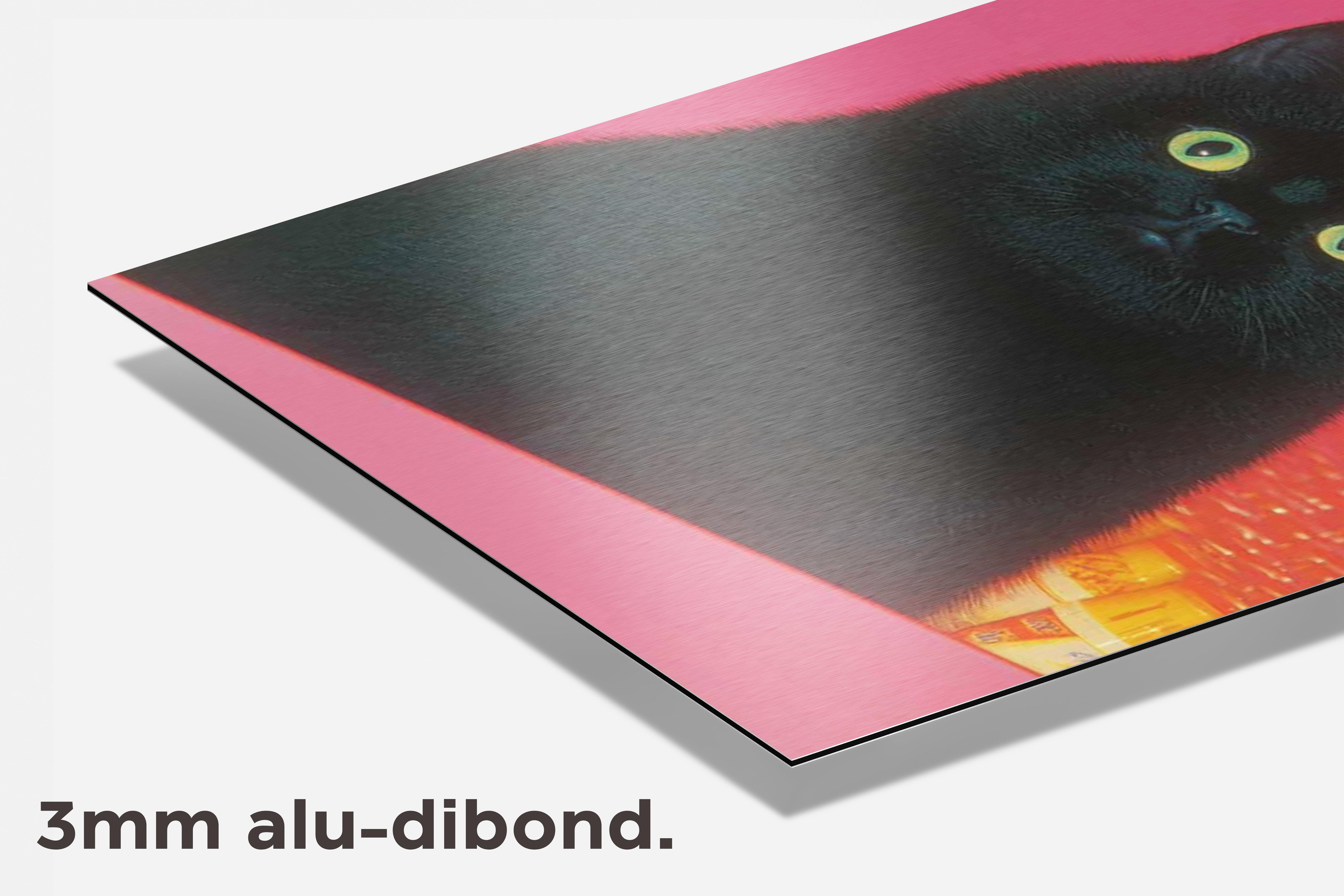 Zwarte Kat dibond detail