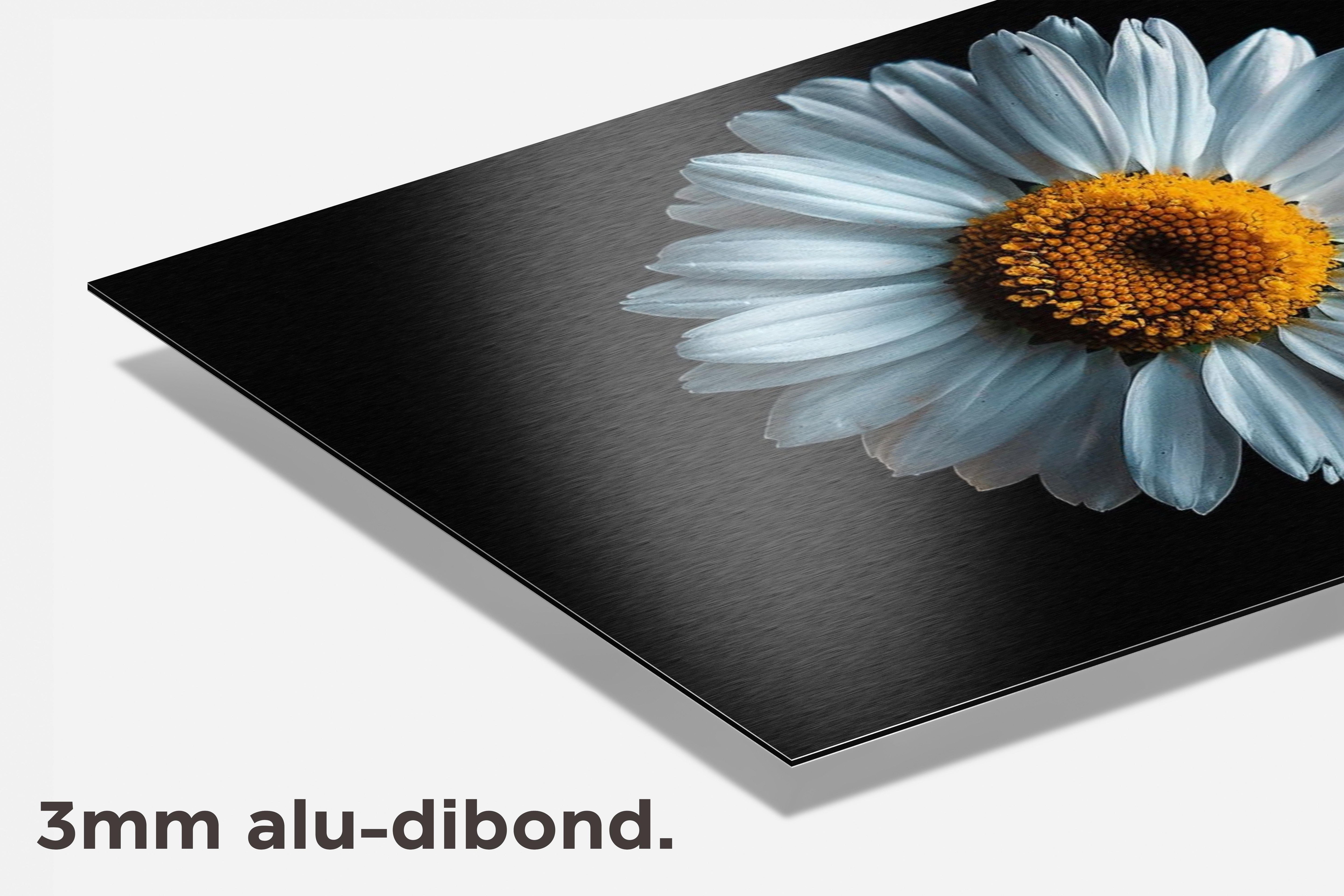 Margriet dibond detail
