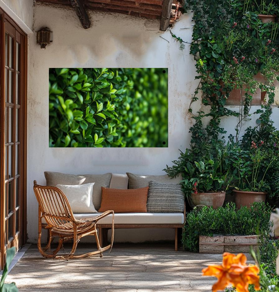 Affiche Affiche de jardin Haie de 25 Artstreet