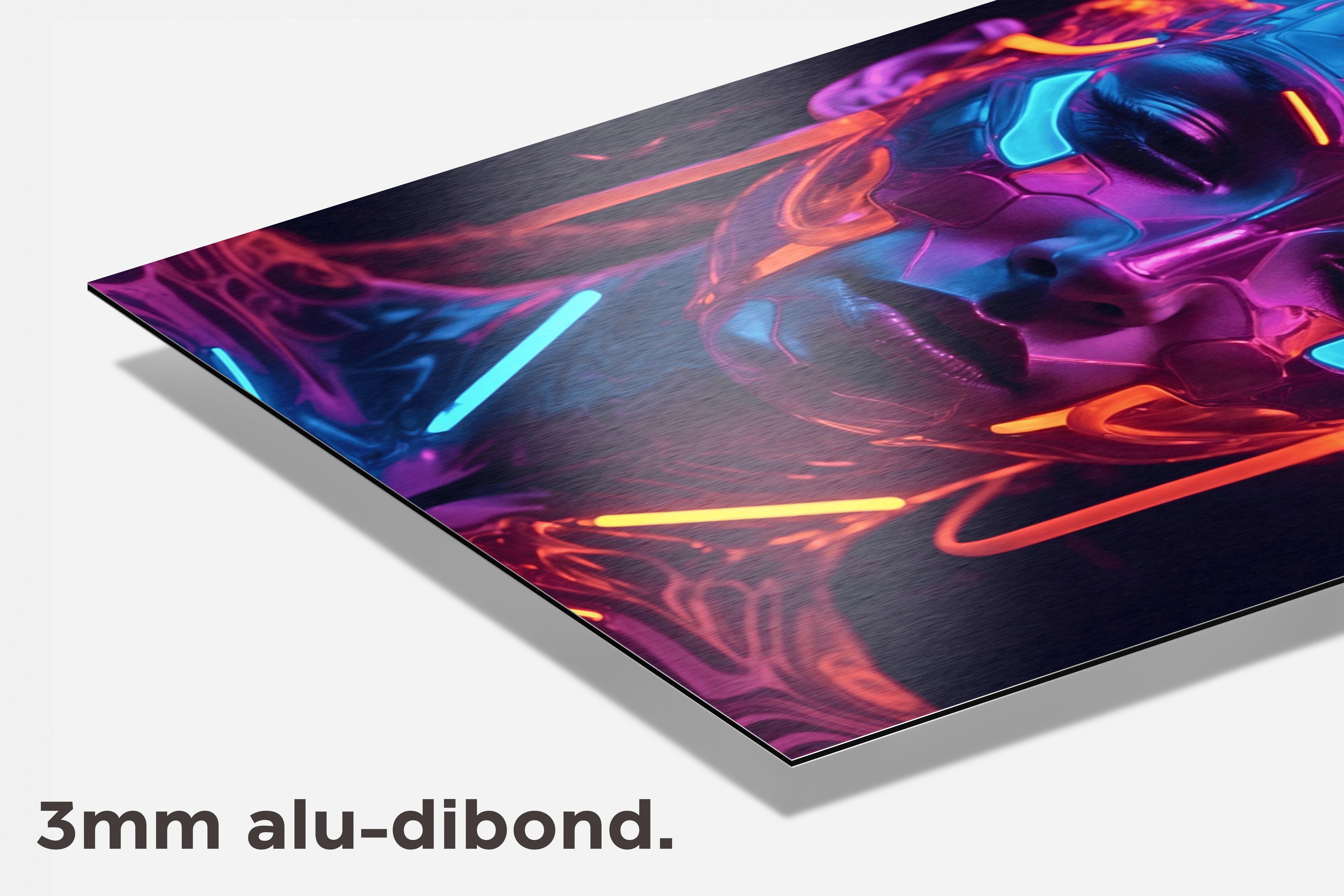 Cybervrouw dibond detail