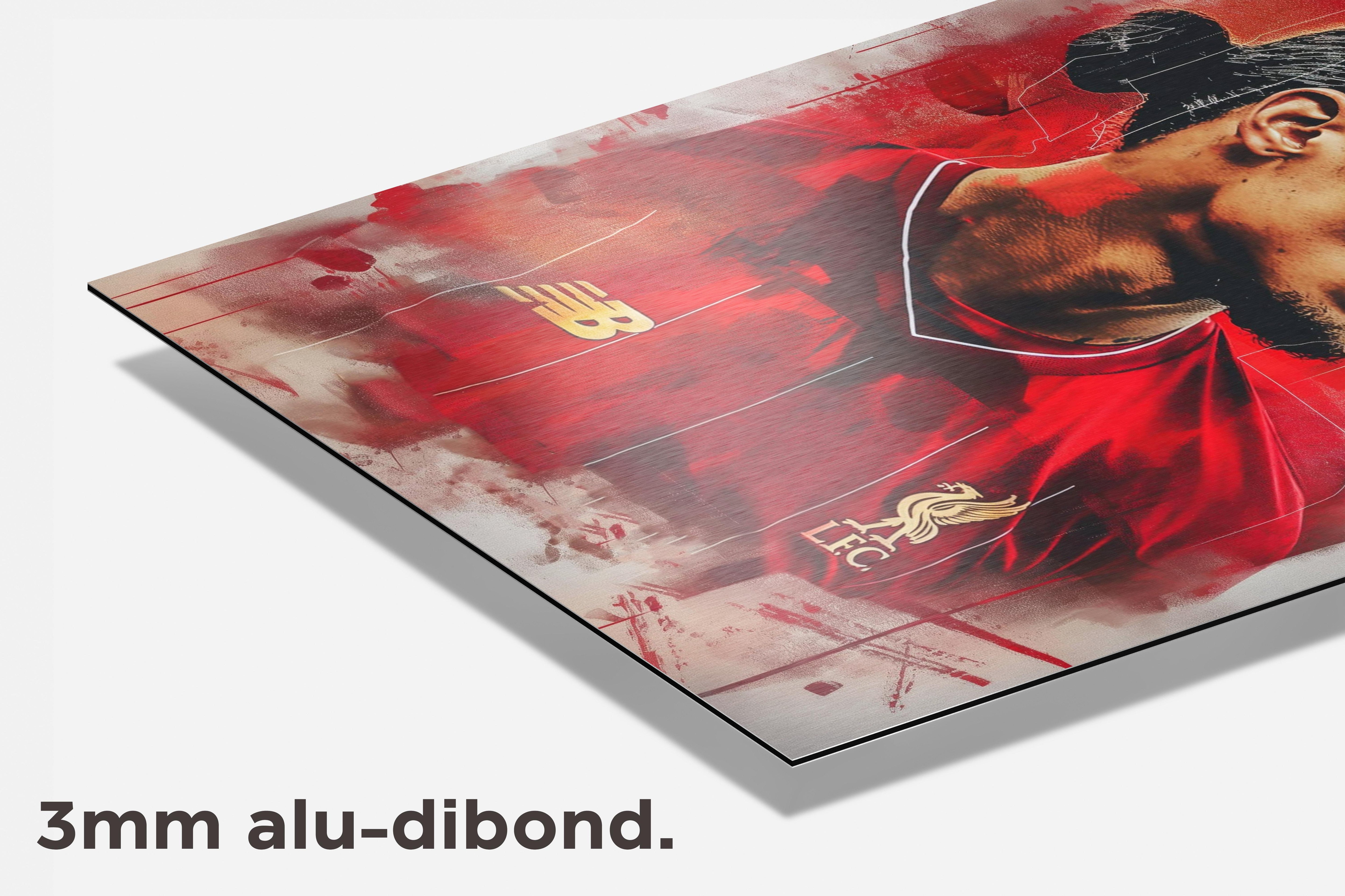 Virgil van Dijk dibond detail