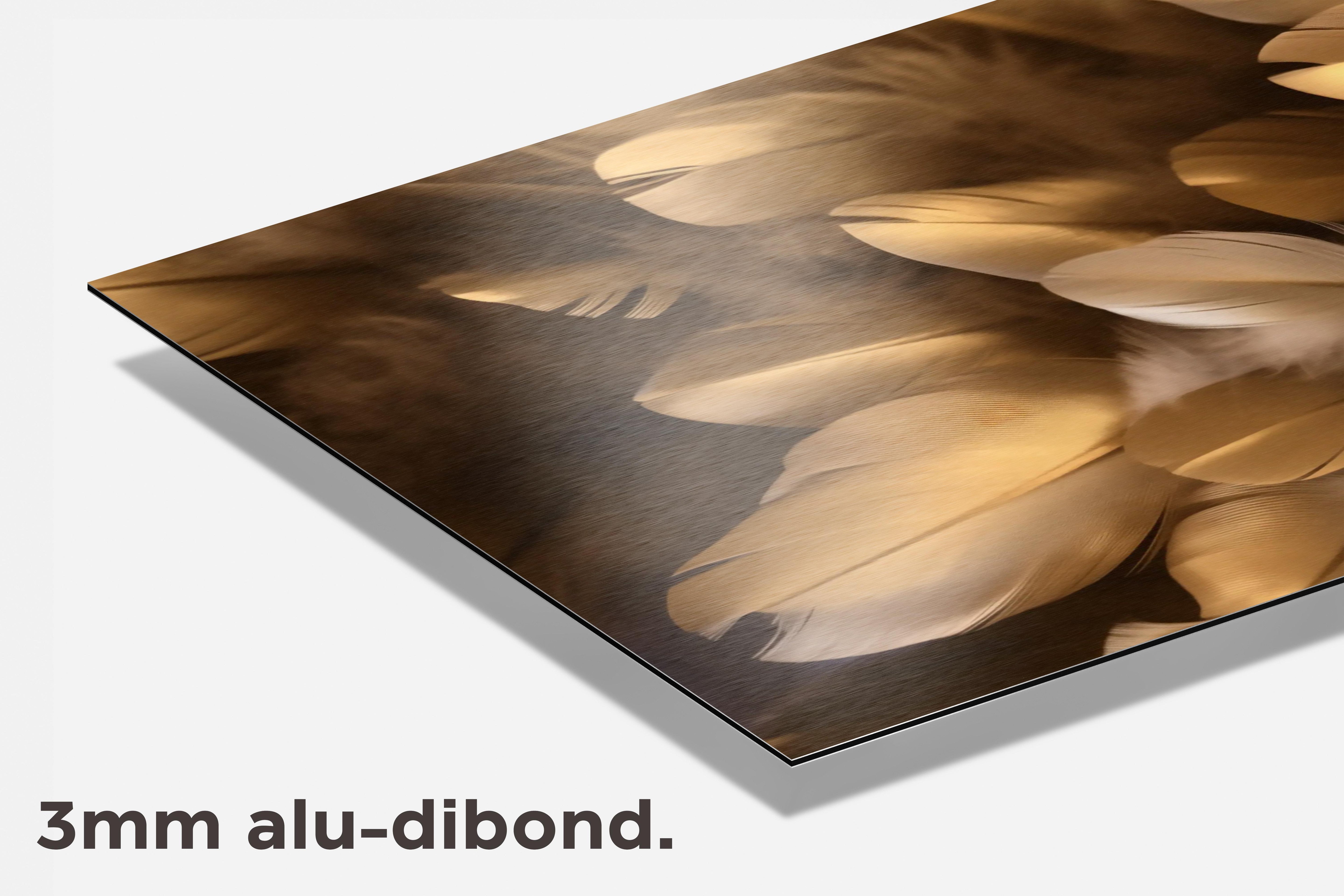 Veertjes dibond detail
