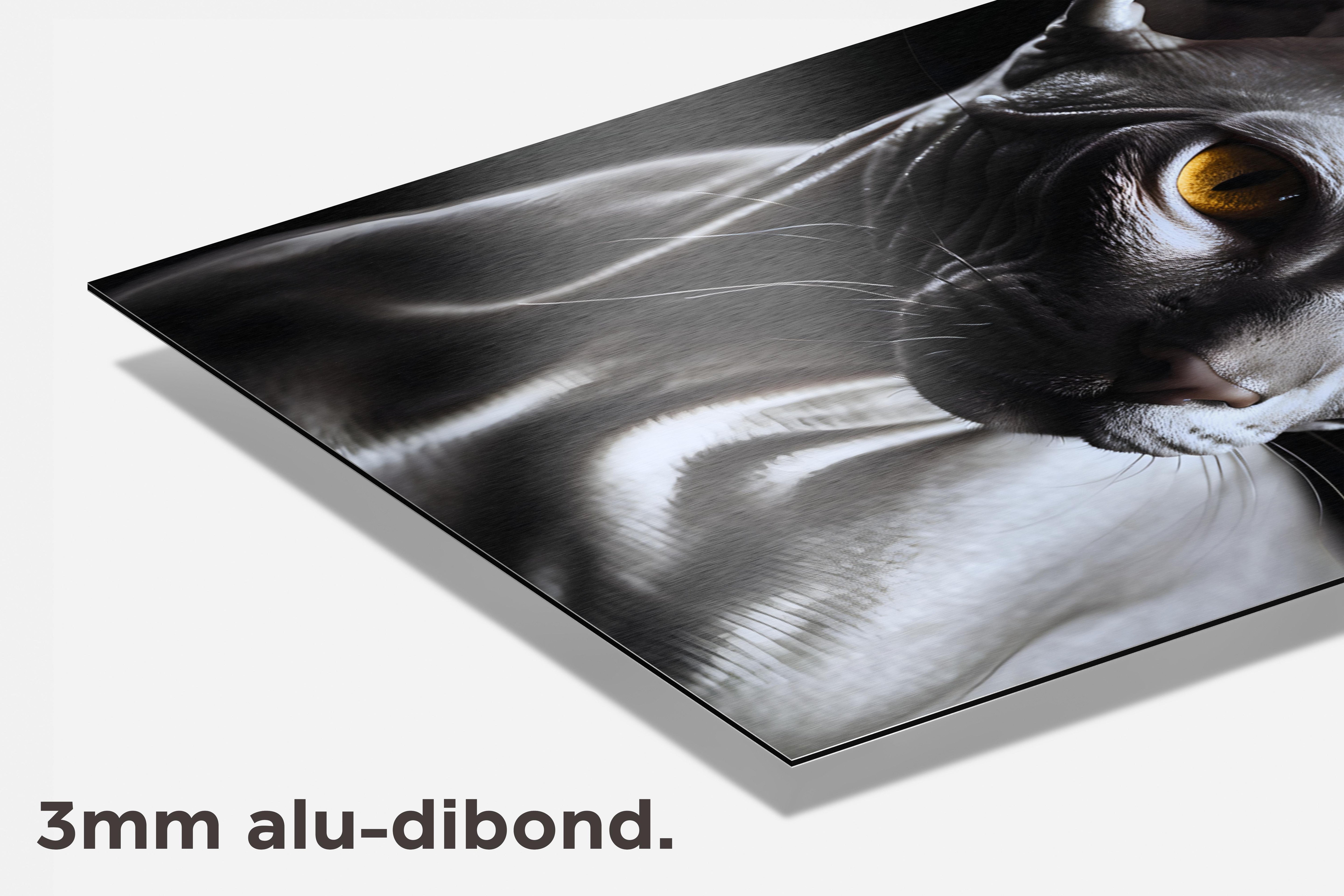 Naaktkat Geel dibond detail