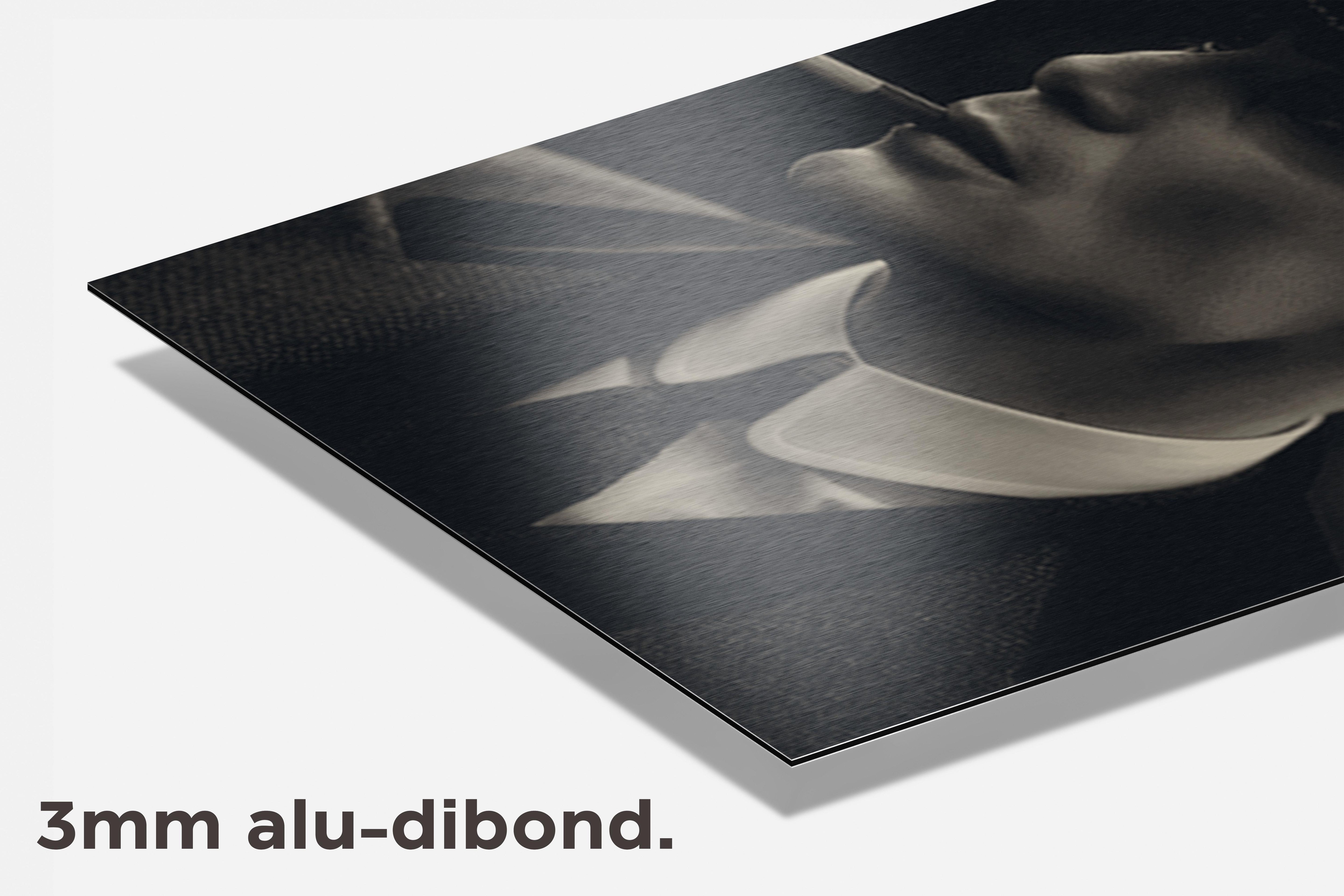 Thomas Shelby dibond detail