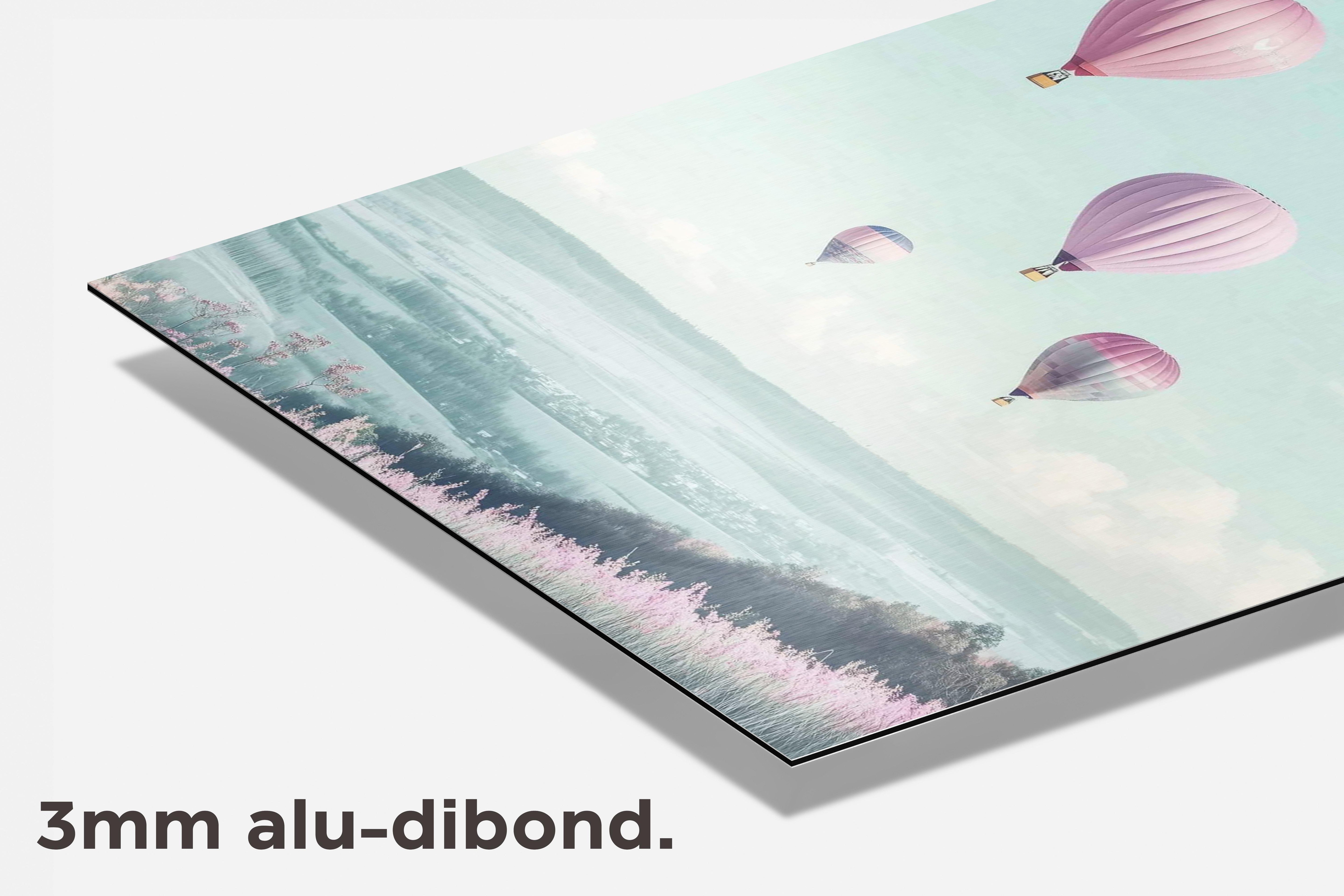 Hete Luchtballon Pastel dibond detail