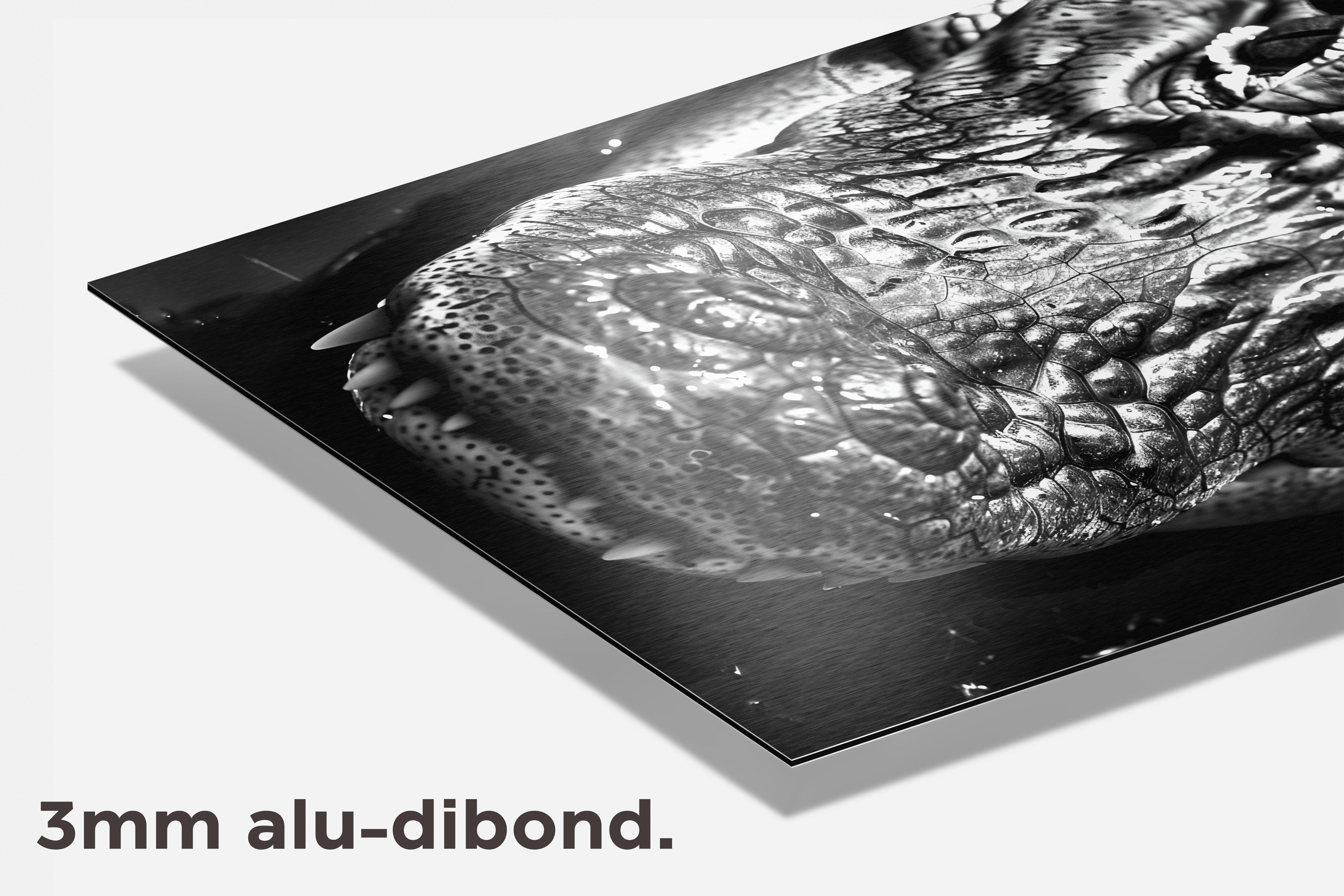 Krokodil dibond detail