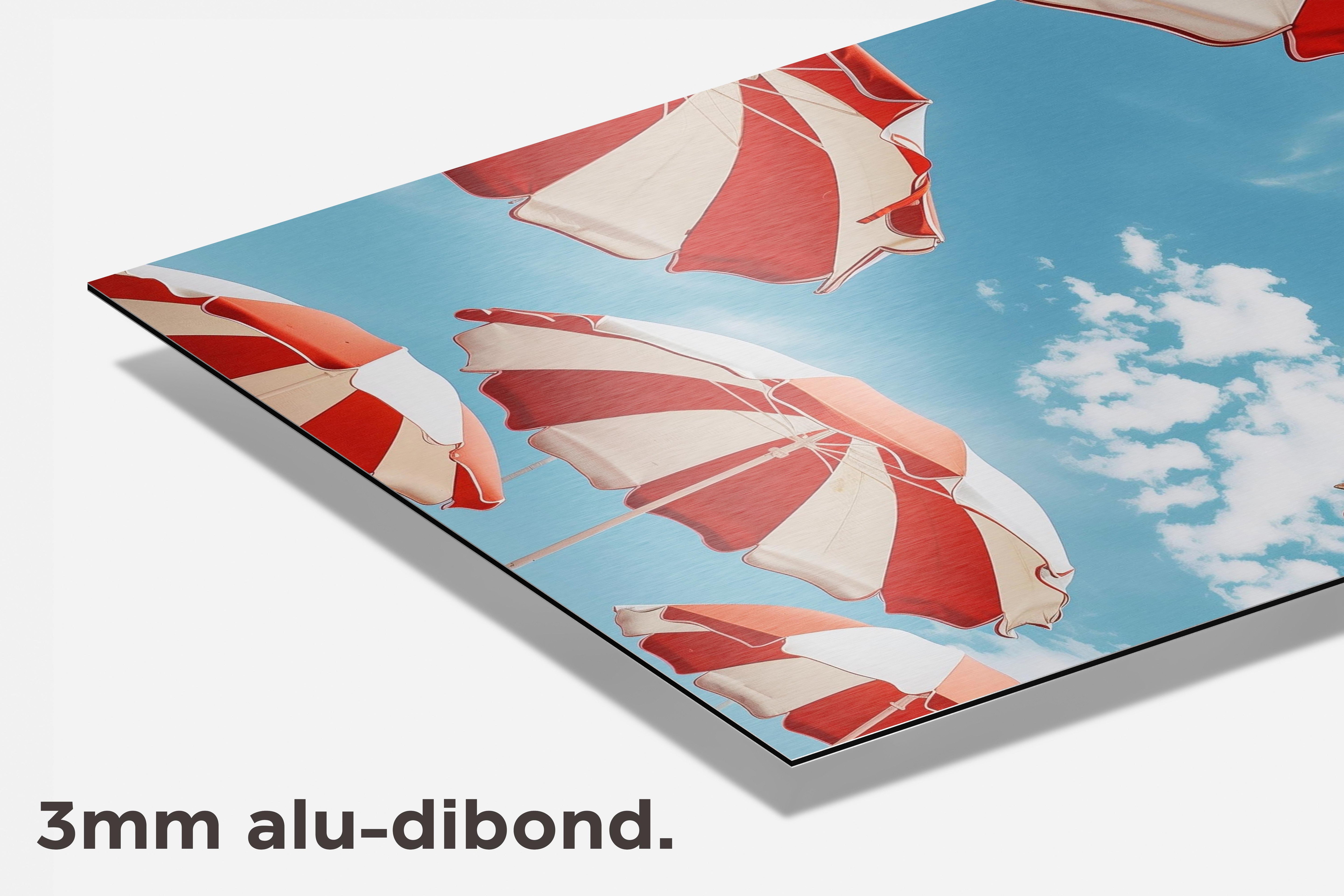 Rode Witte Paraplu's dibond detail