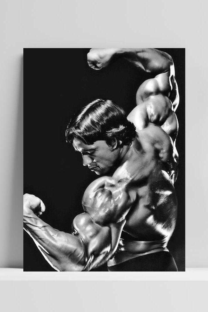 Arnold Schwarzenegger Bodybuilder Actor Politics Film im Interieur