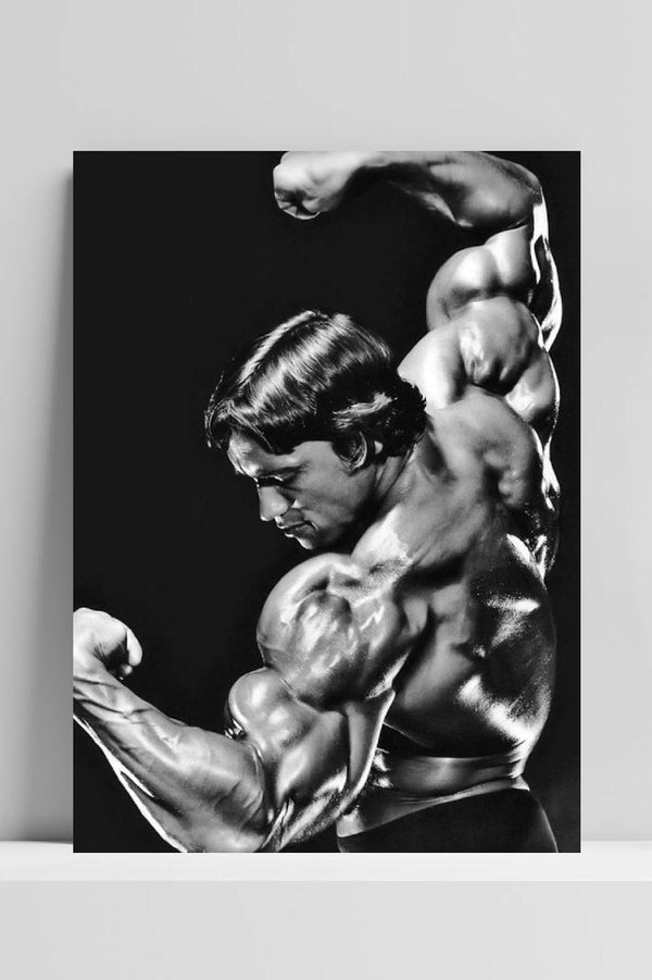 Póster Arnold Schwarzenegger Bodybuilder Actor Politics Film
