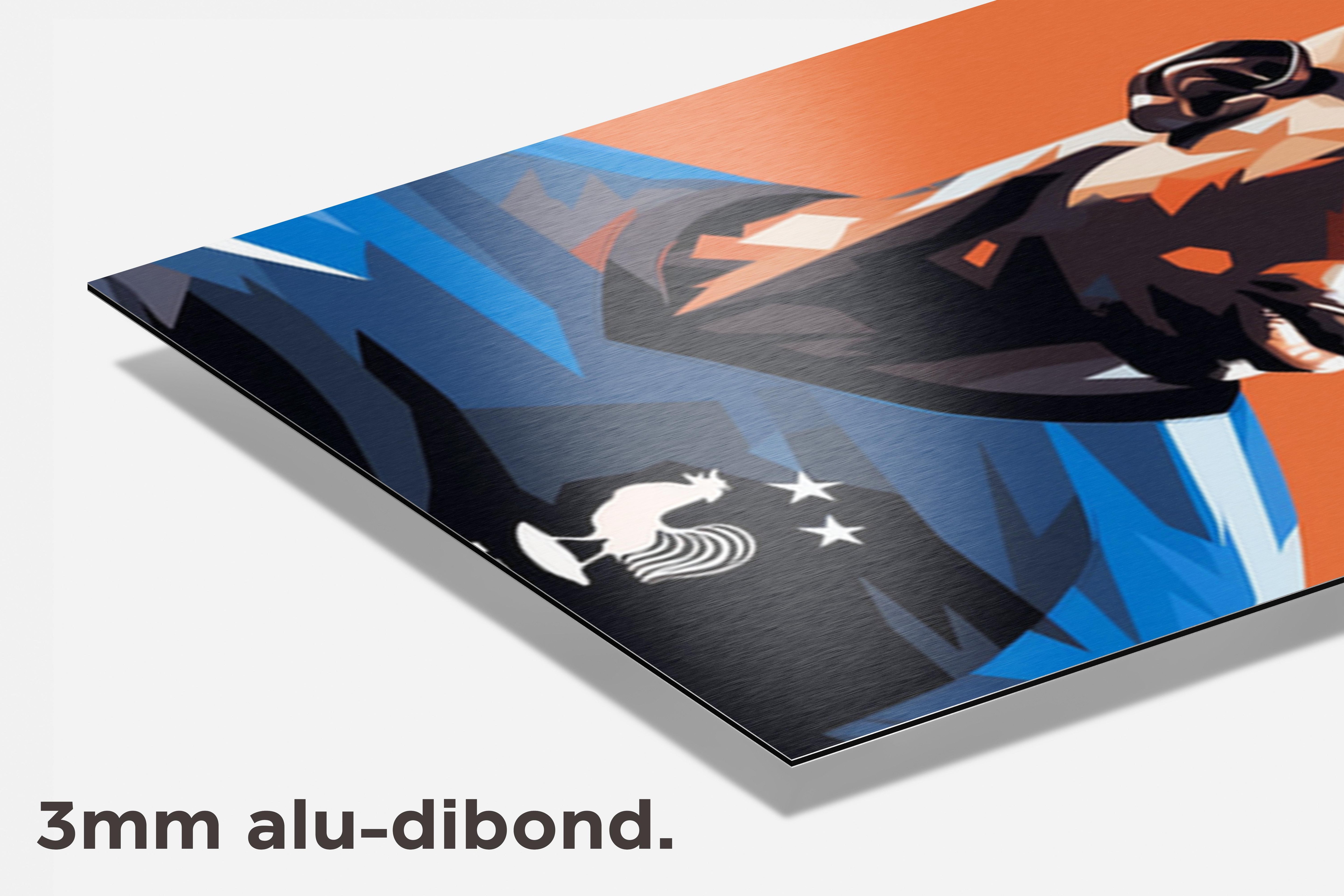 Paul Pogba dibond detail