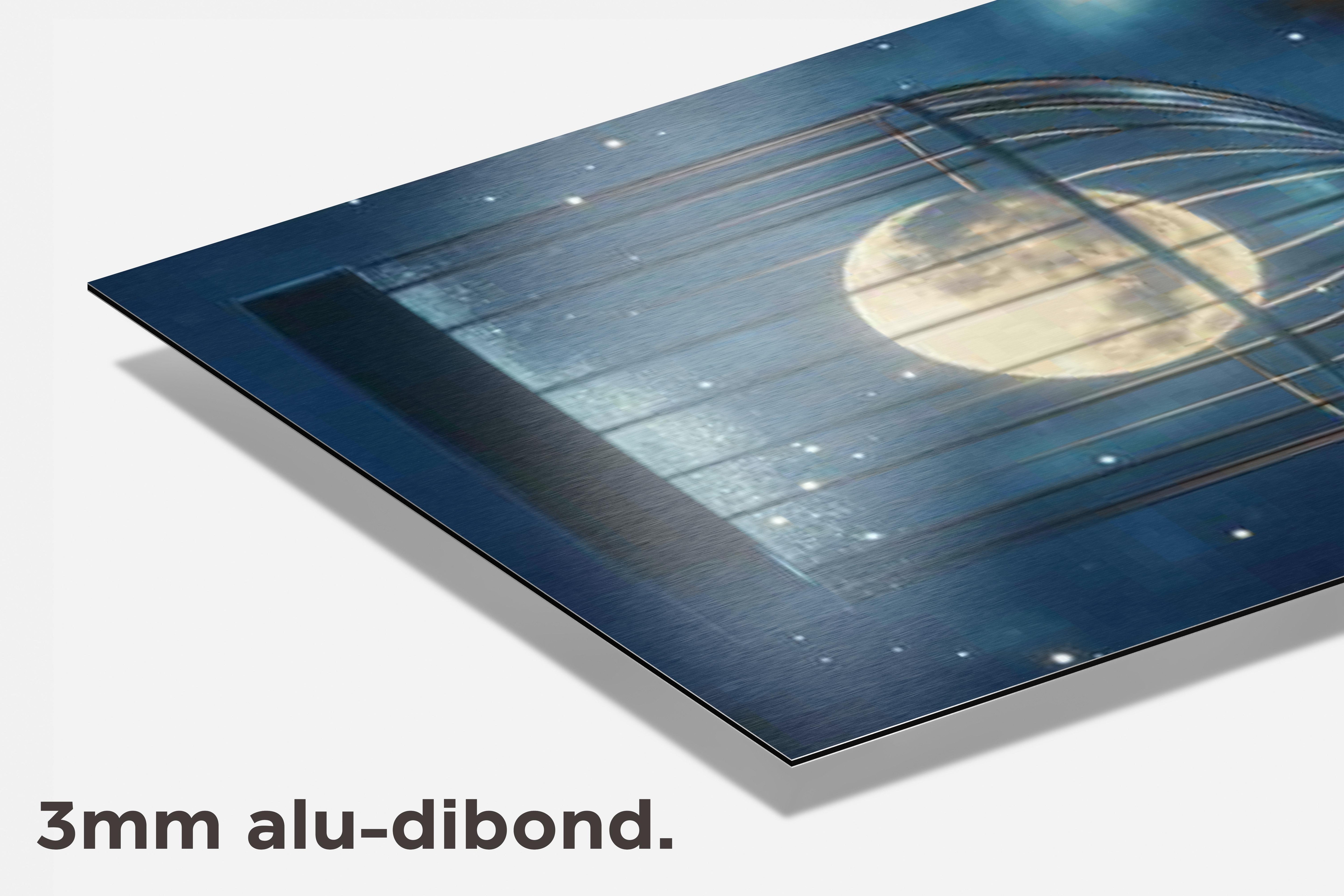 Maan Kooi dibond detail