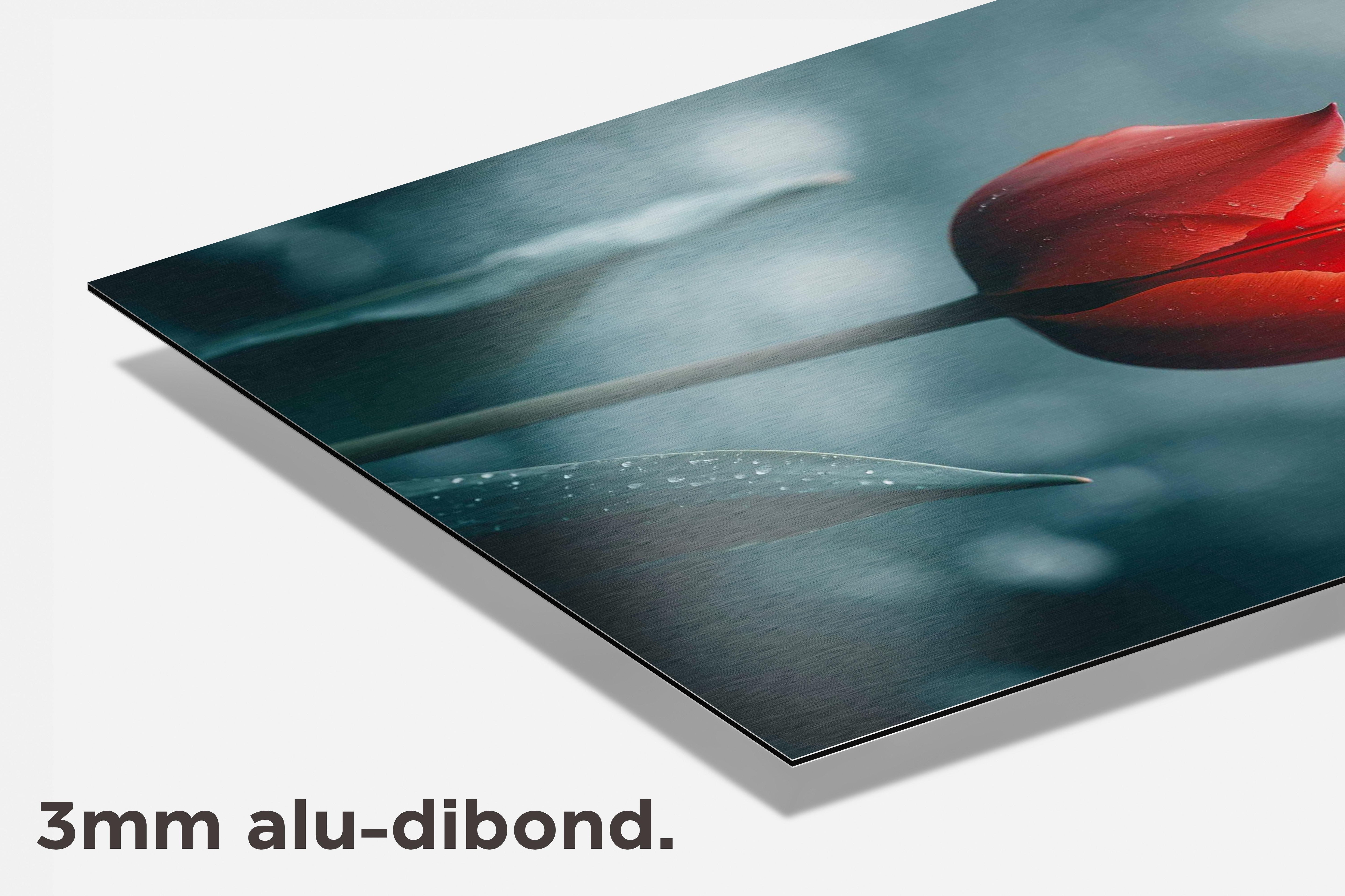Tulp dibond detail