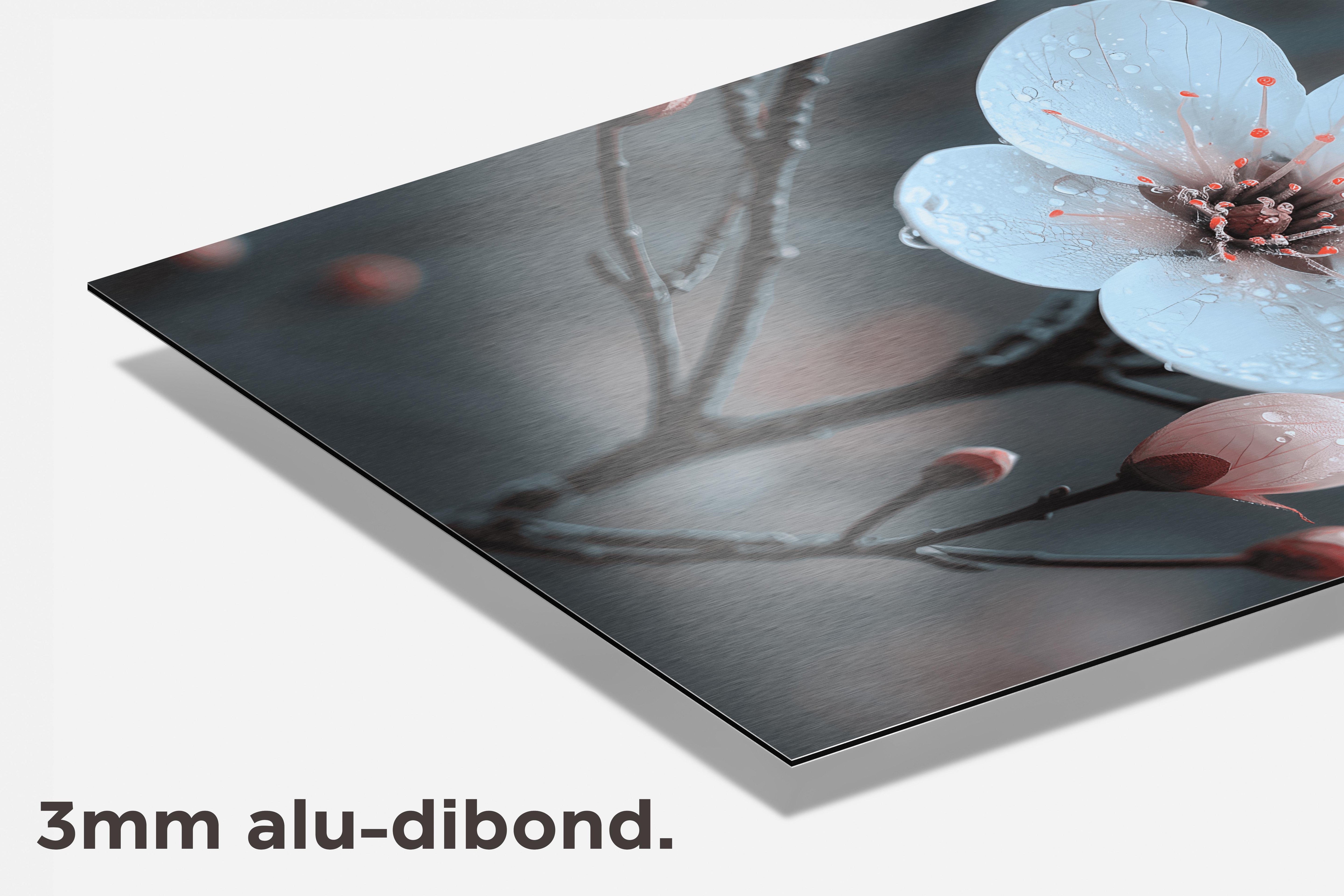 Bloem Kersenbloesem dibond detail