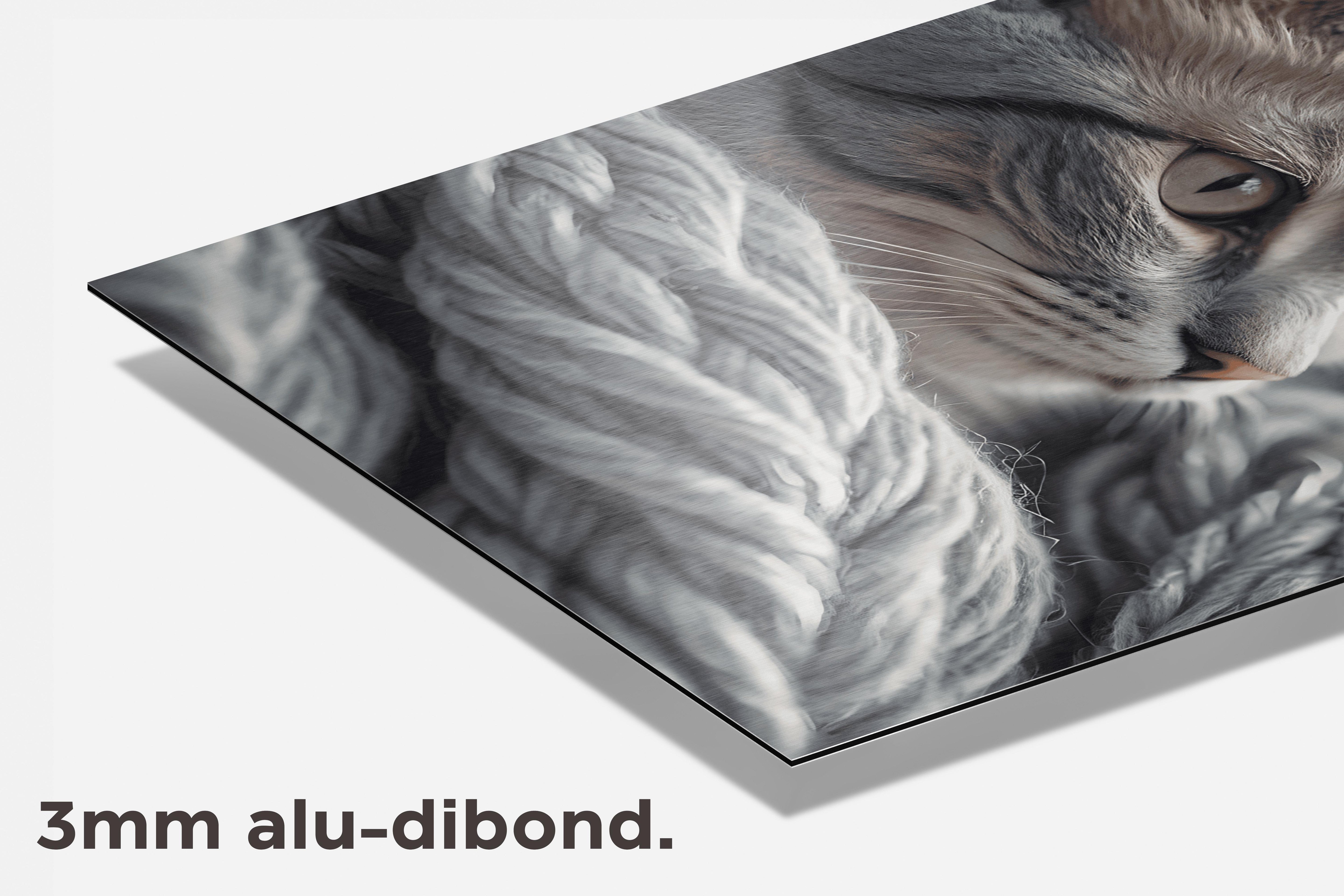 Gezellige Kat dibond detail