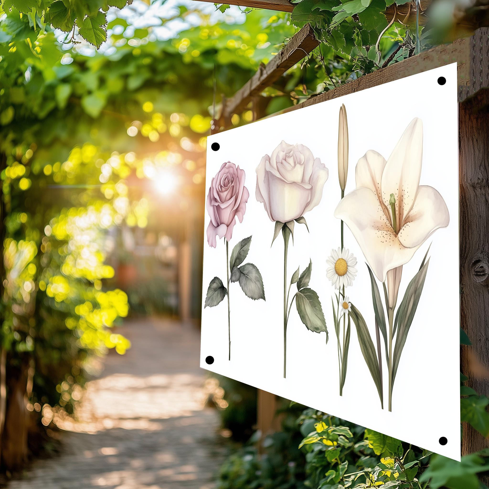 Tuinposter Rozen sfeerbeeld 4