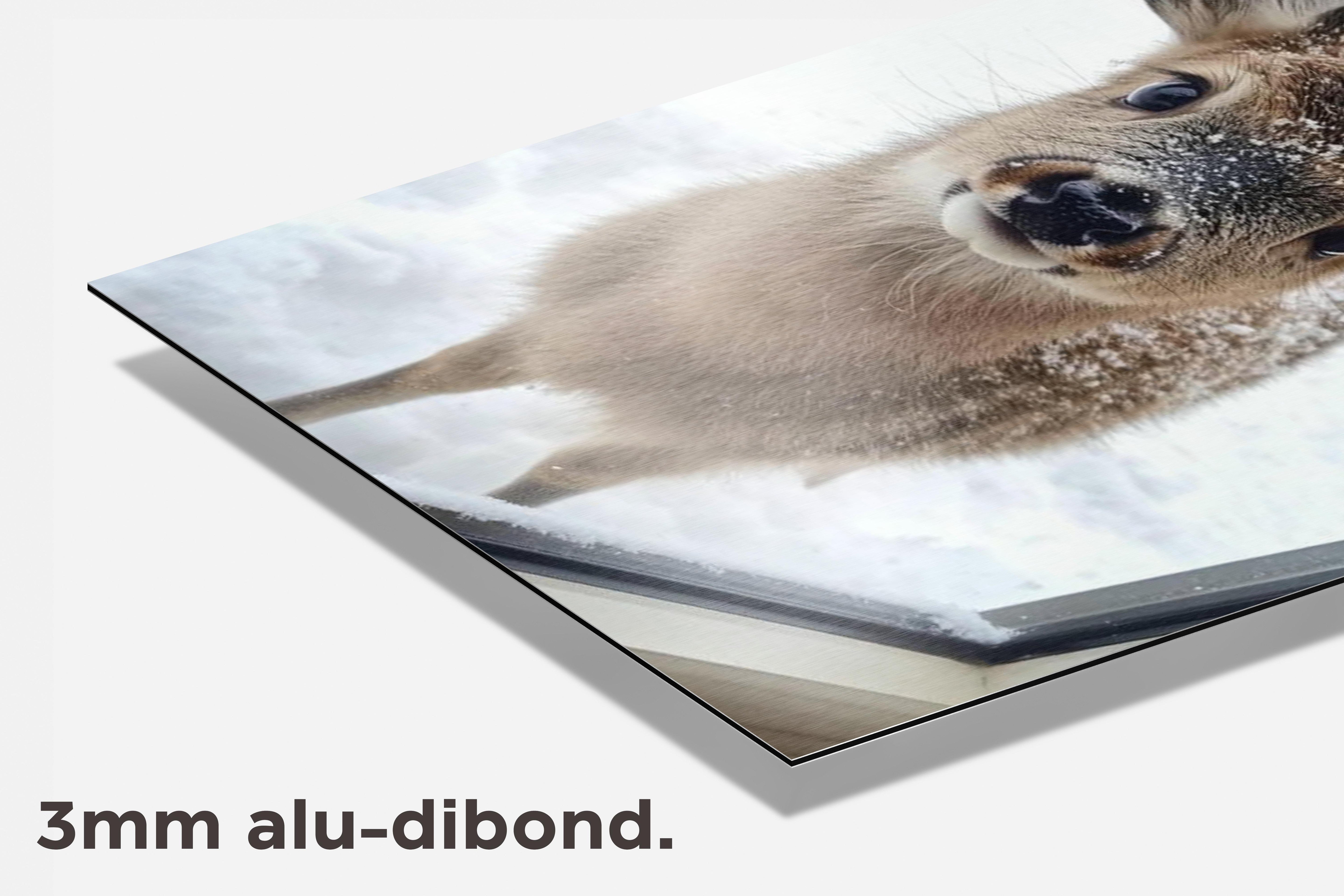 Hert dibond detail