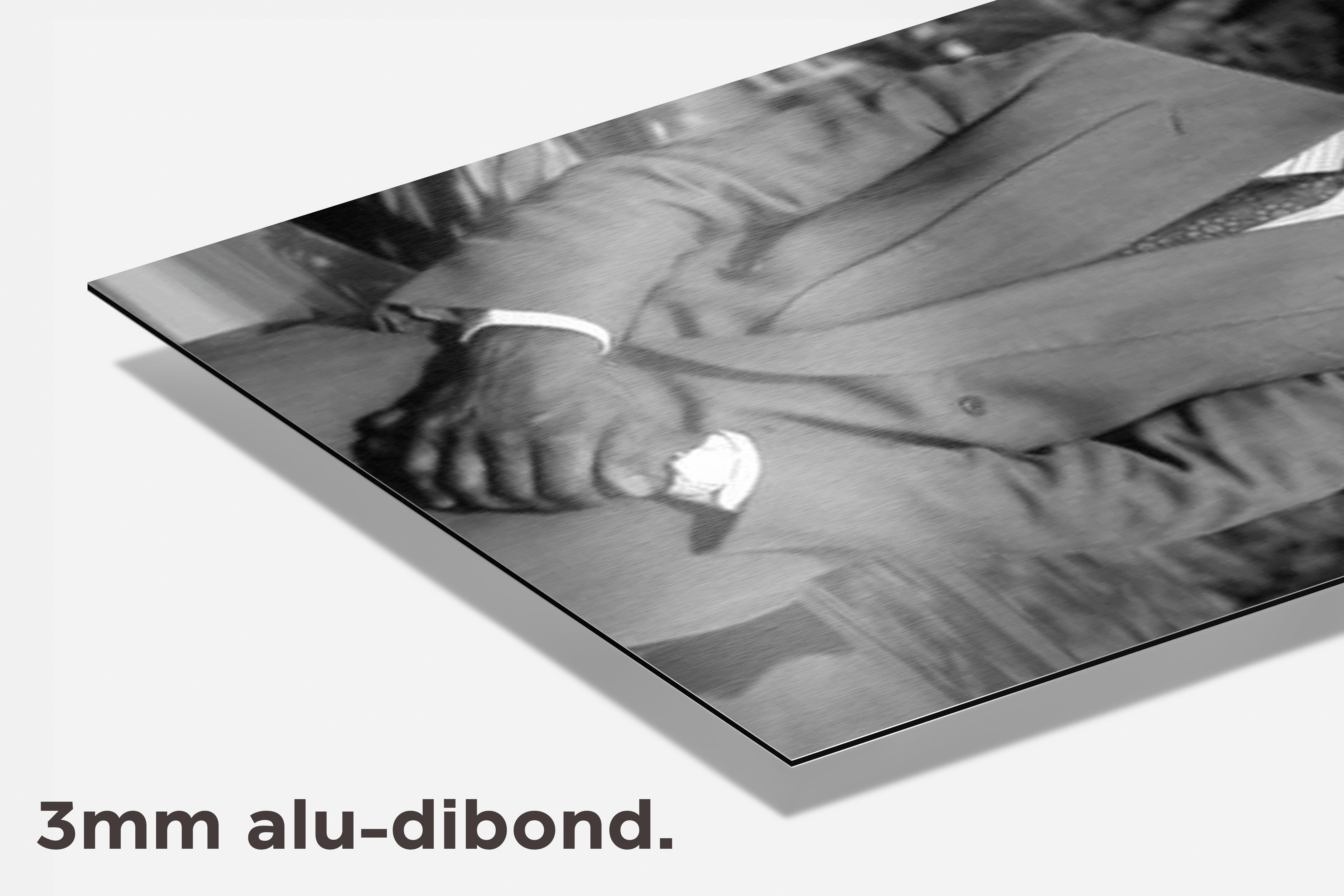 Wesley Snipes dibond detail