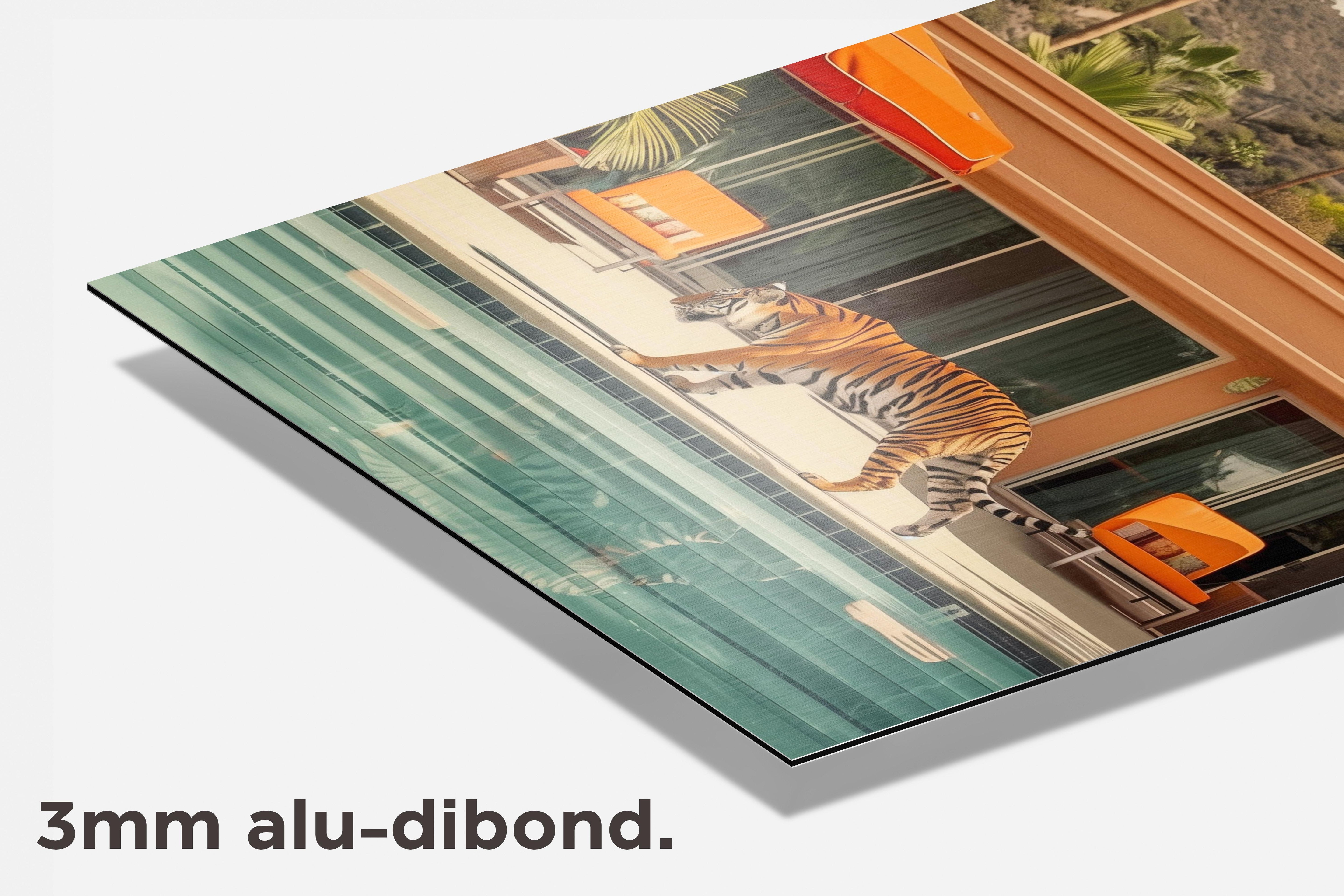 Tijger Bij Zwembad dibond detail