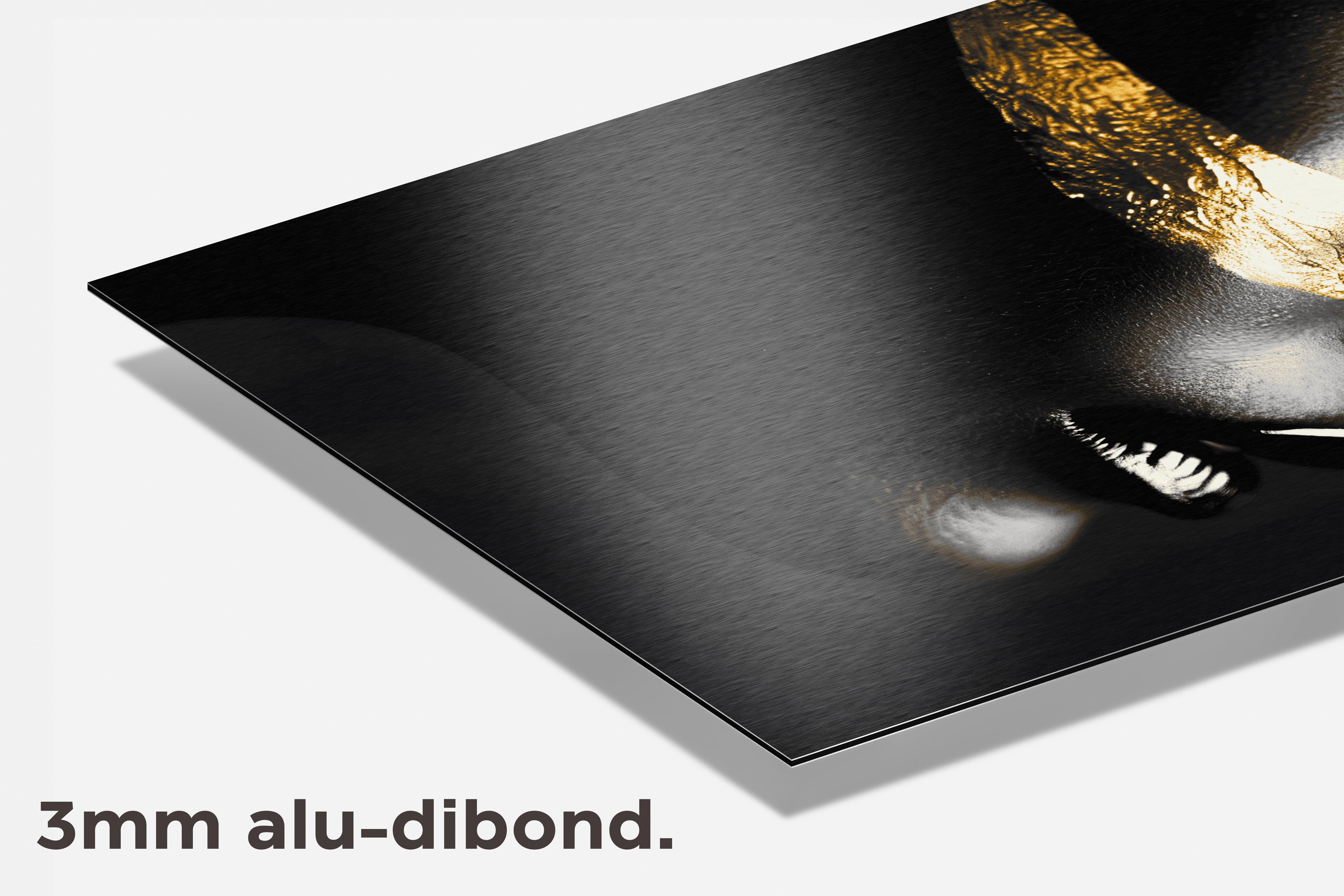Gouden Gezicht dibond detail
