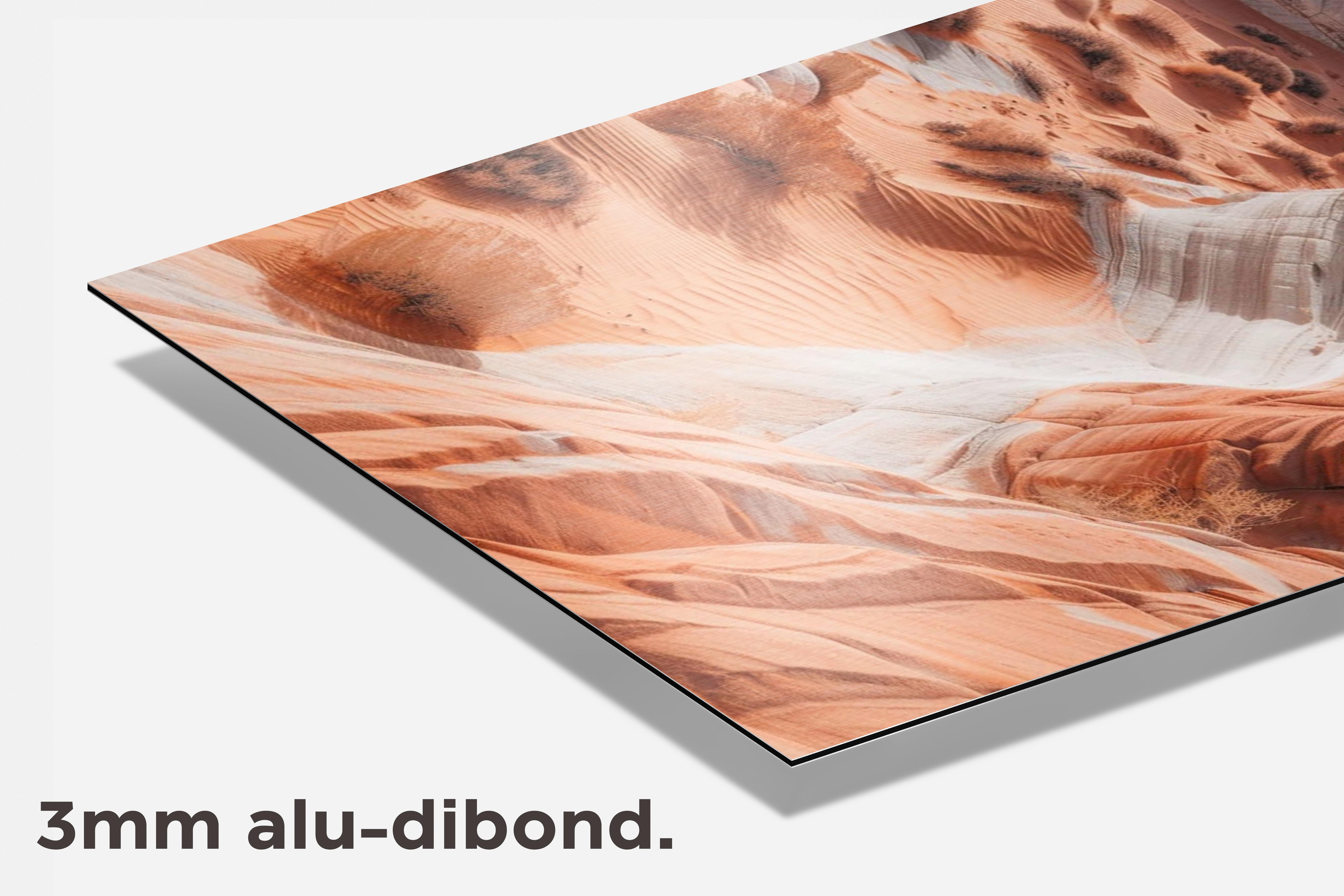 Woestijnlandschap dibond detail