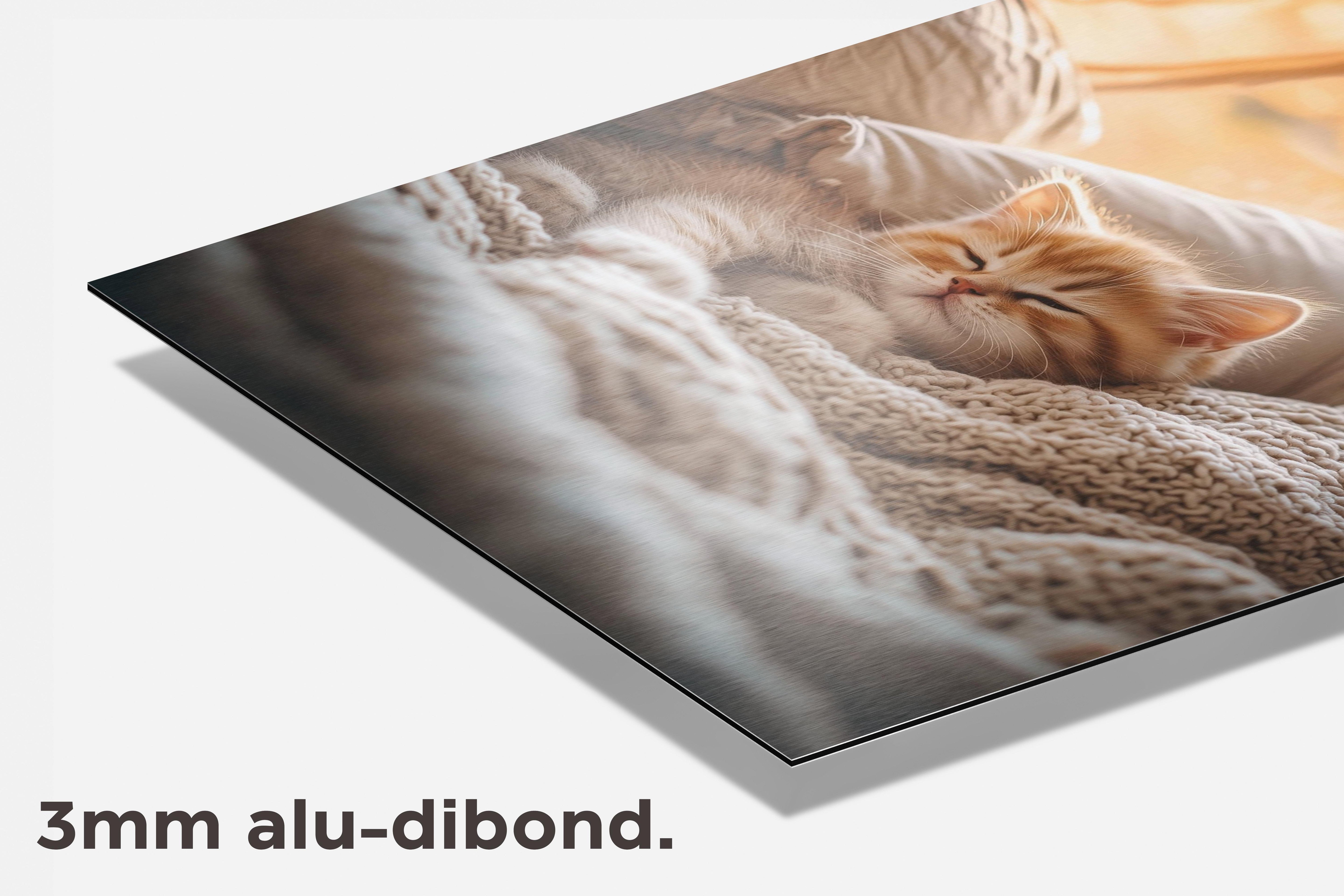 Schattige Kat dibond detail