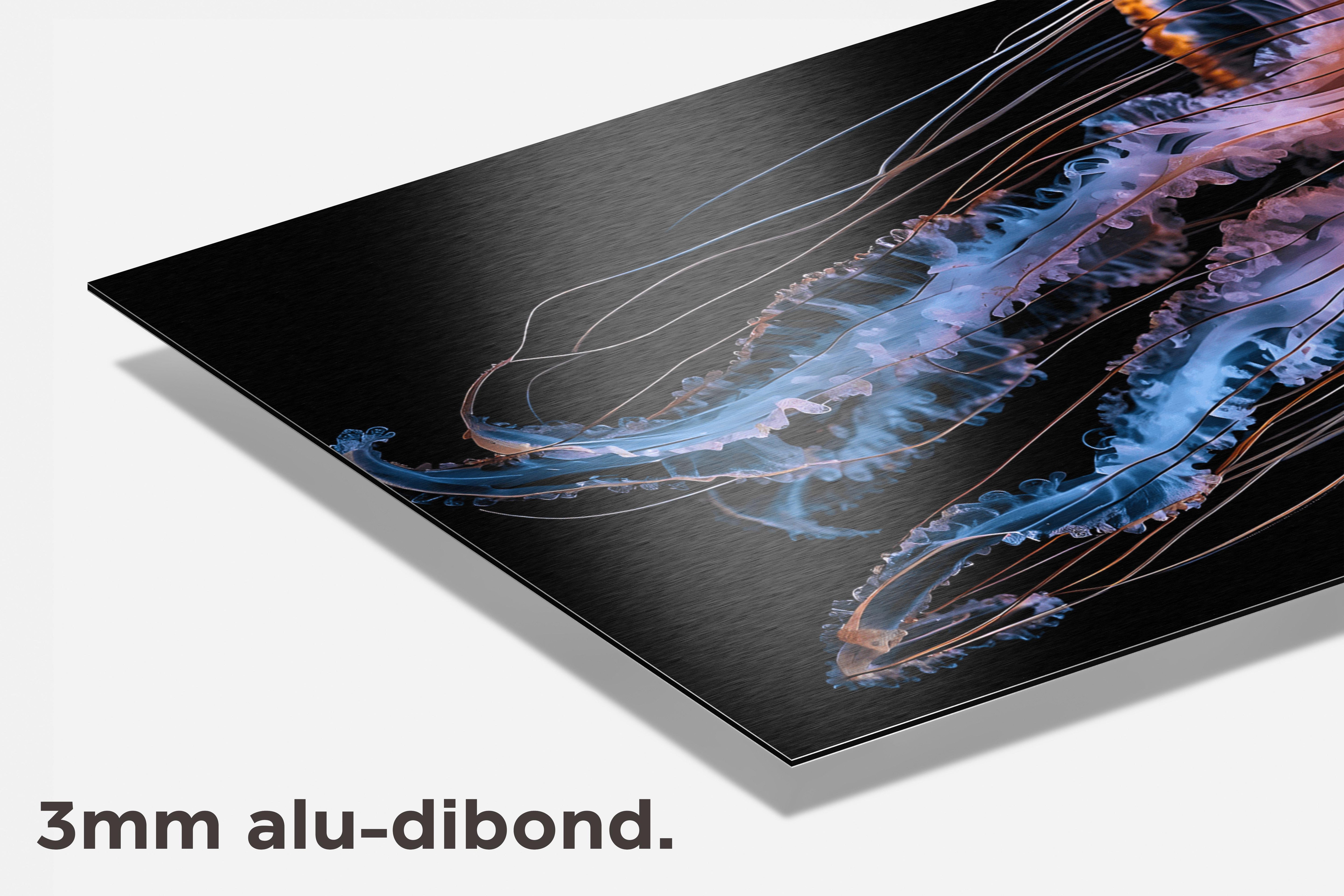 Kwal Kleurrijk dibond detail