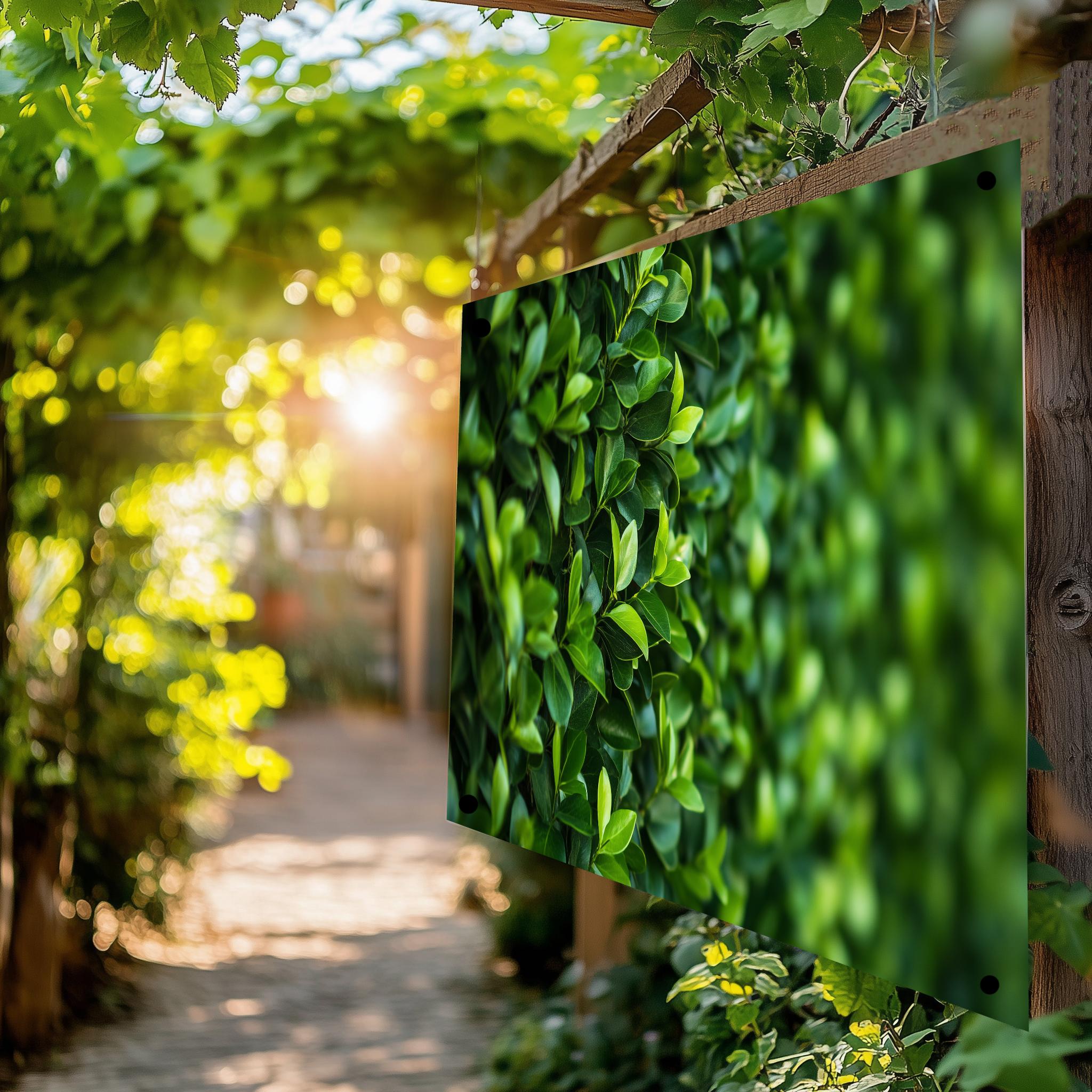 Tuinposter Haag sfeerbeeld 4