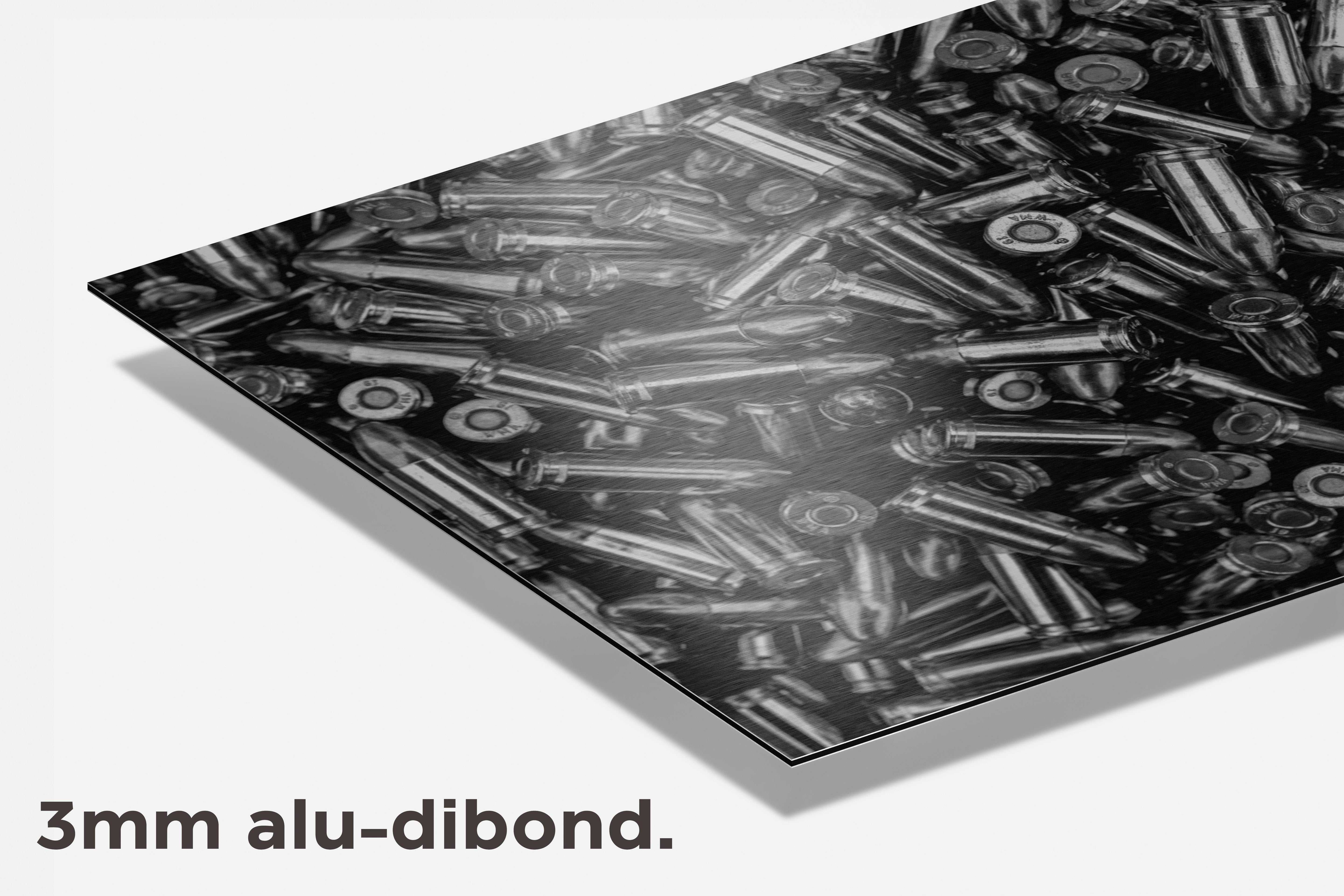 Kogels dibond detail