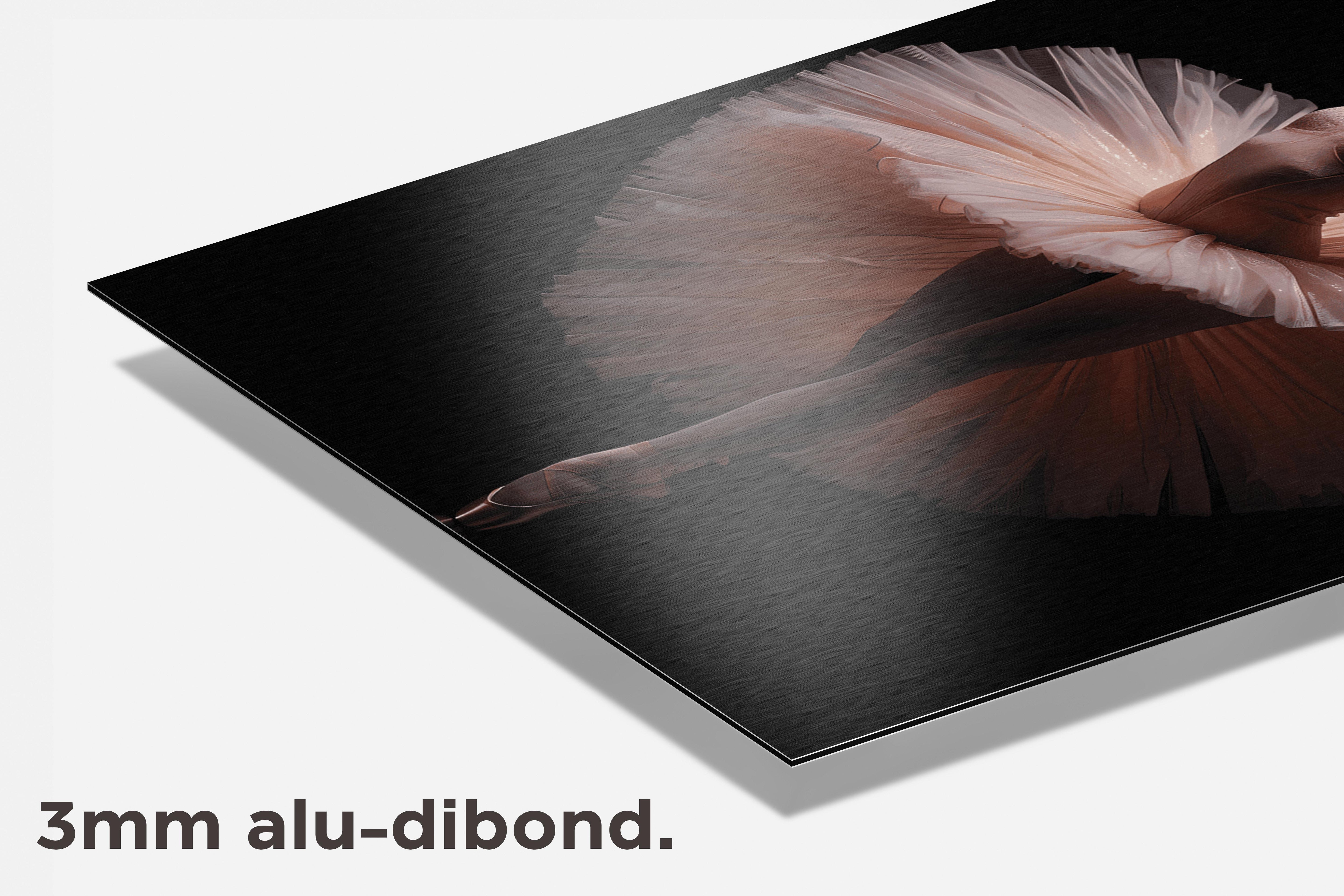 Ballerina Roze dibond detail