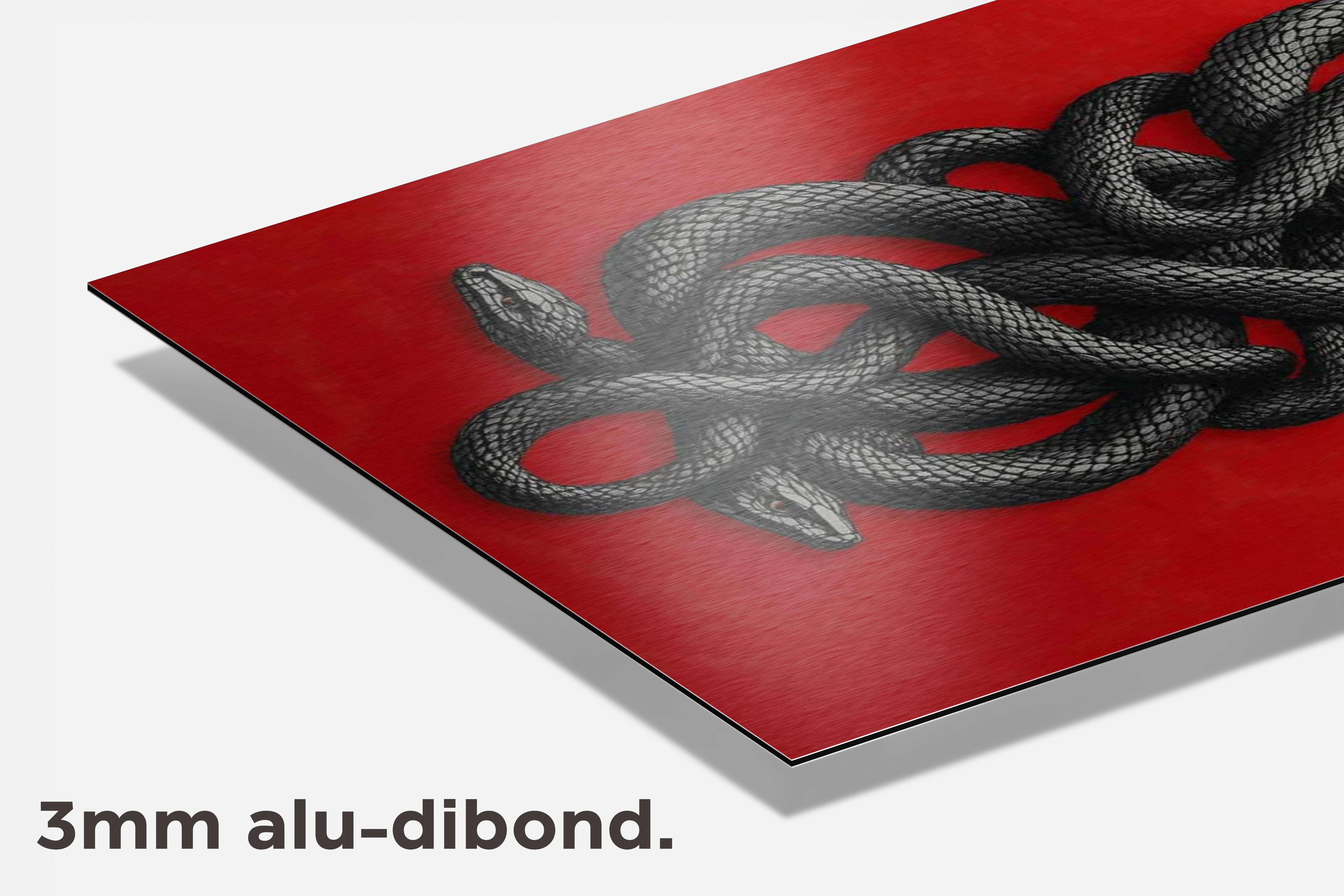 Slangen dibond detail