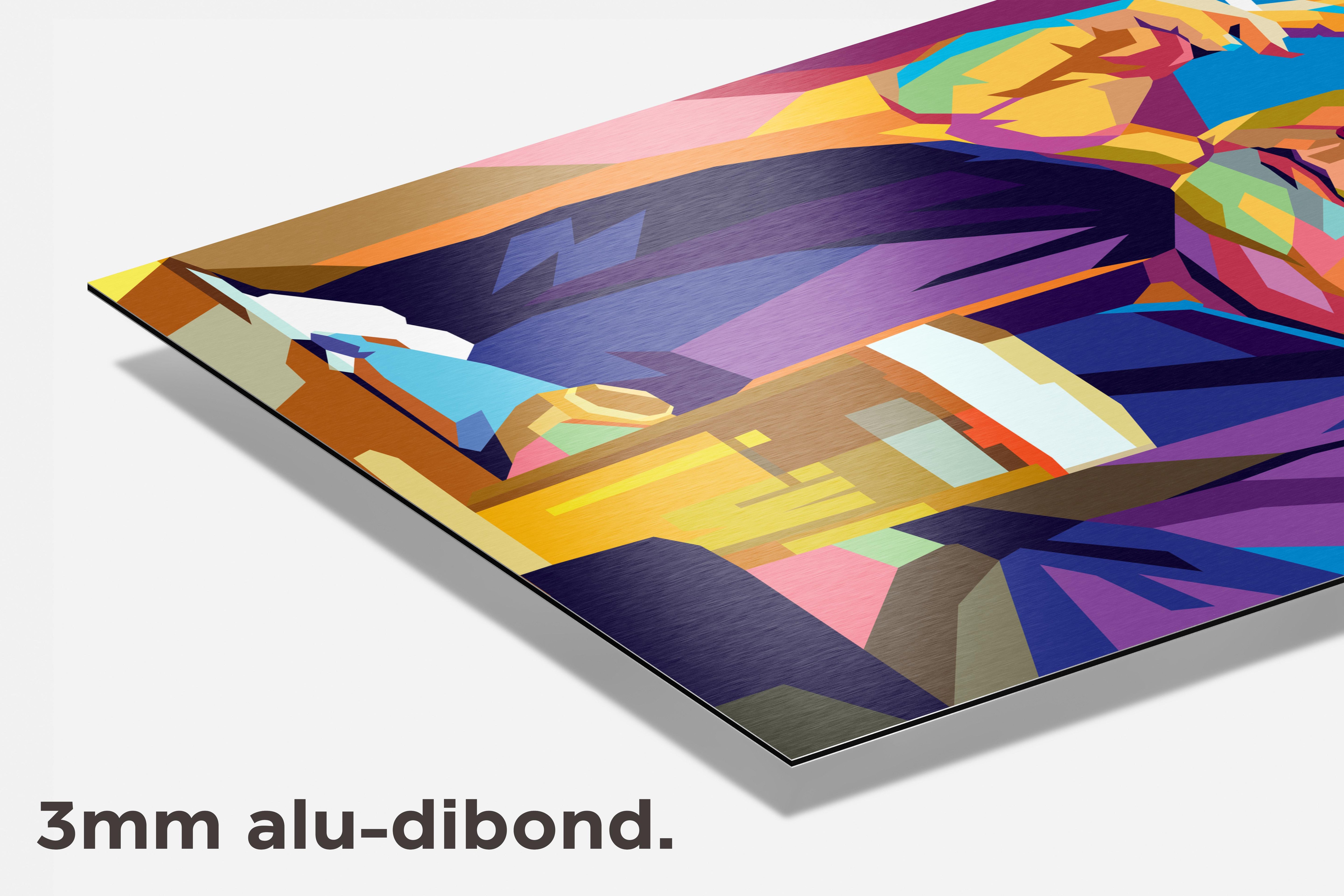 Hazes Pop dibond detail