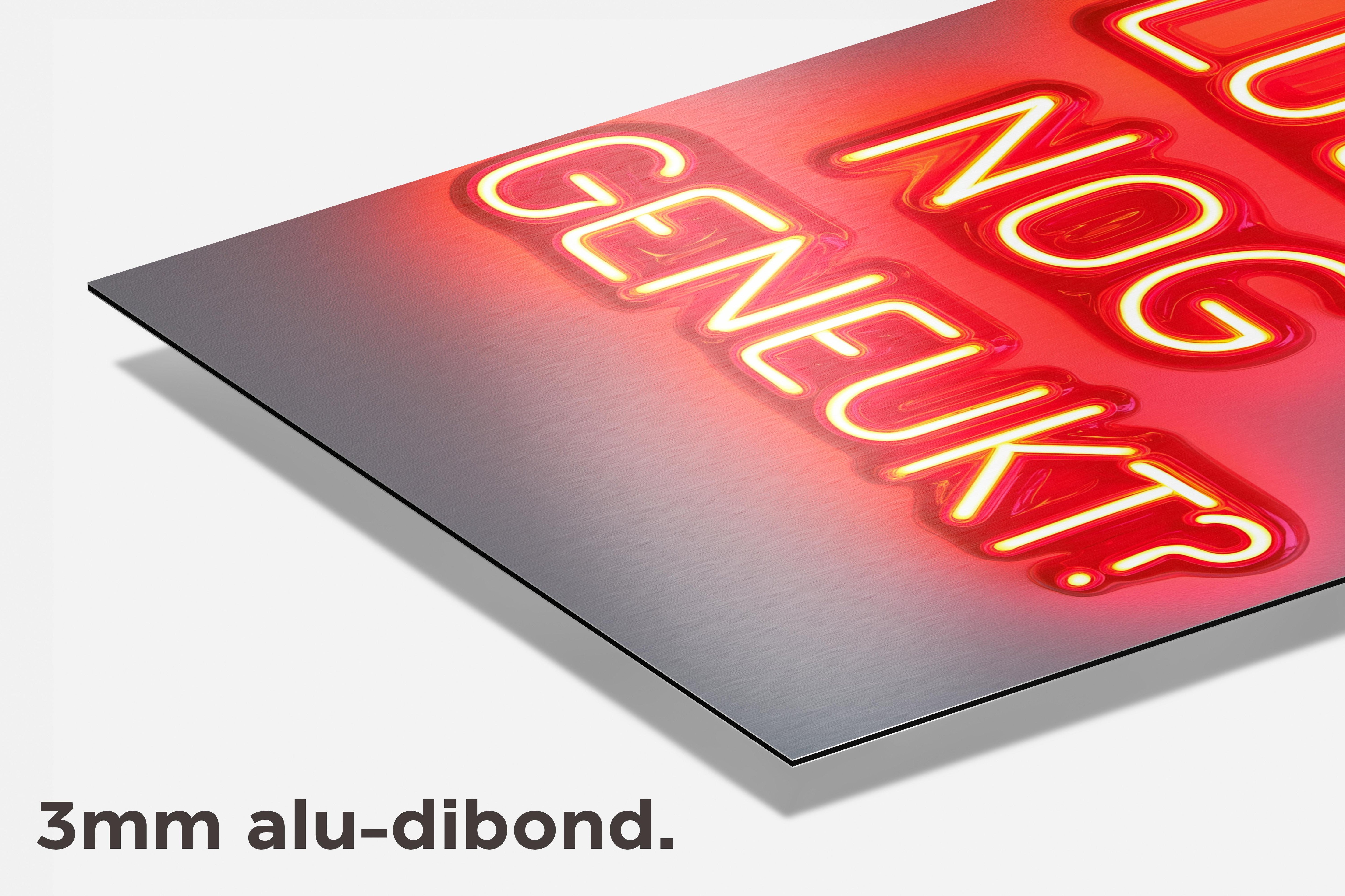 Lullo Nog Geneukt? dibond detail