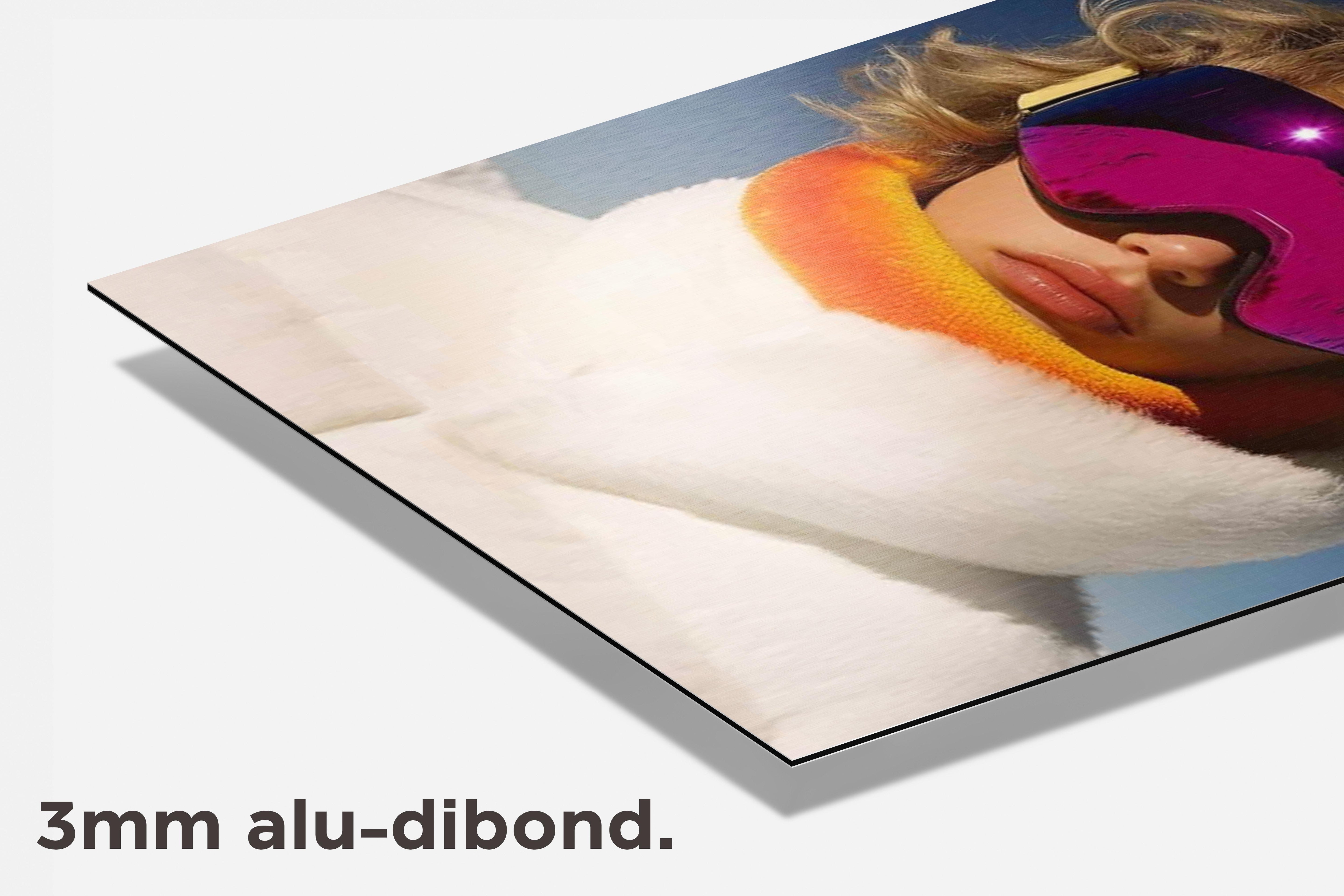 Ski Snowboard dibond detail