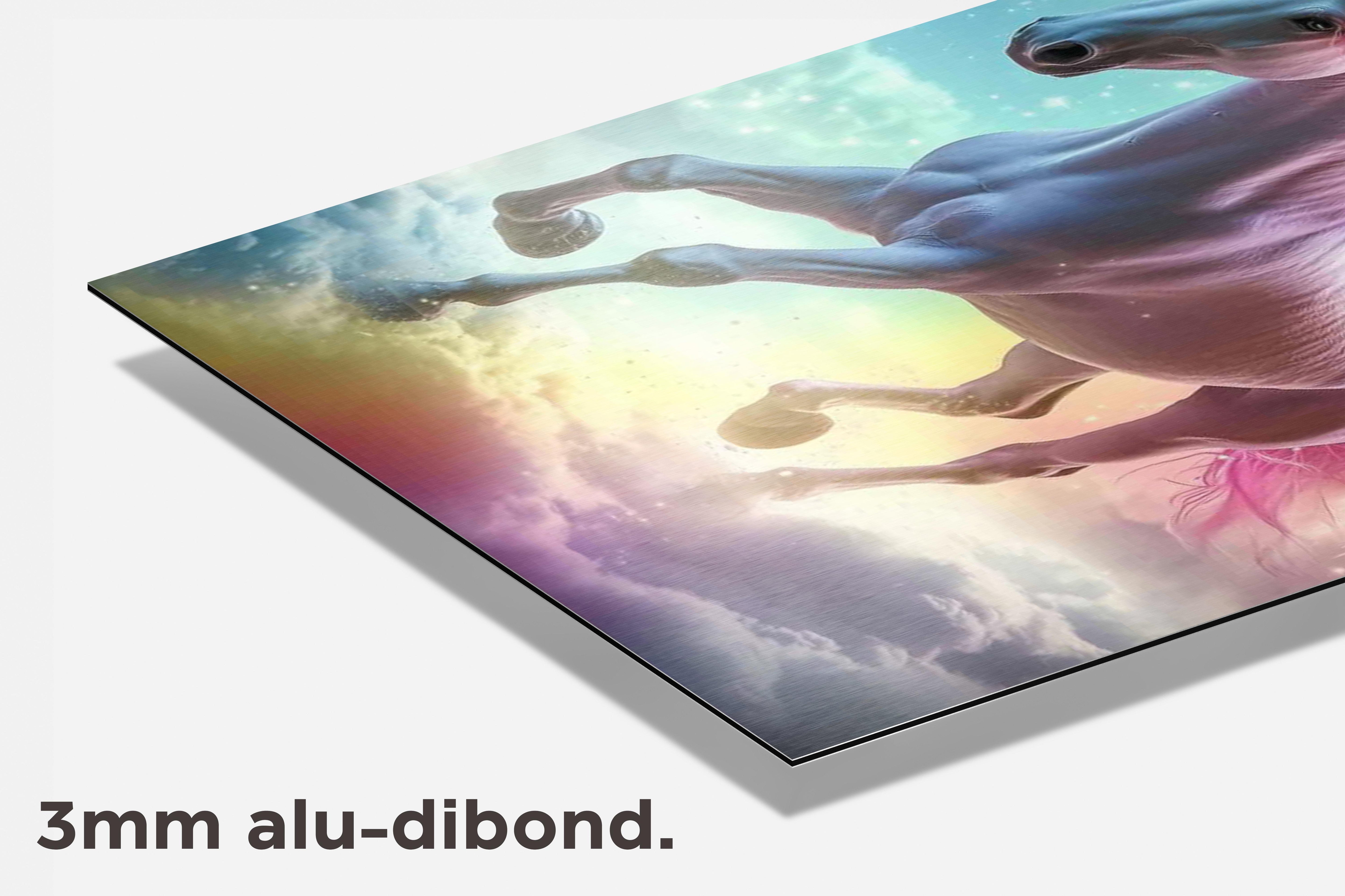 Eenhoorn Pastel dibond detail