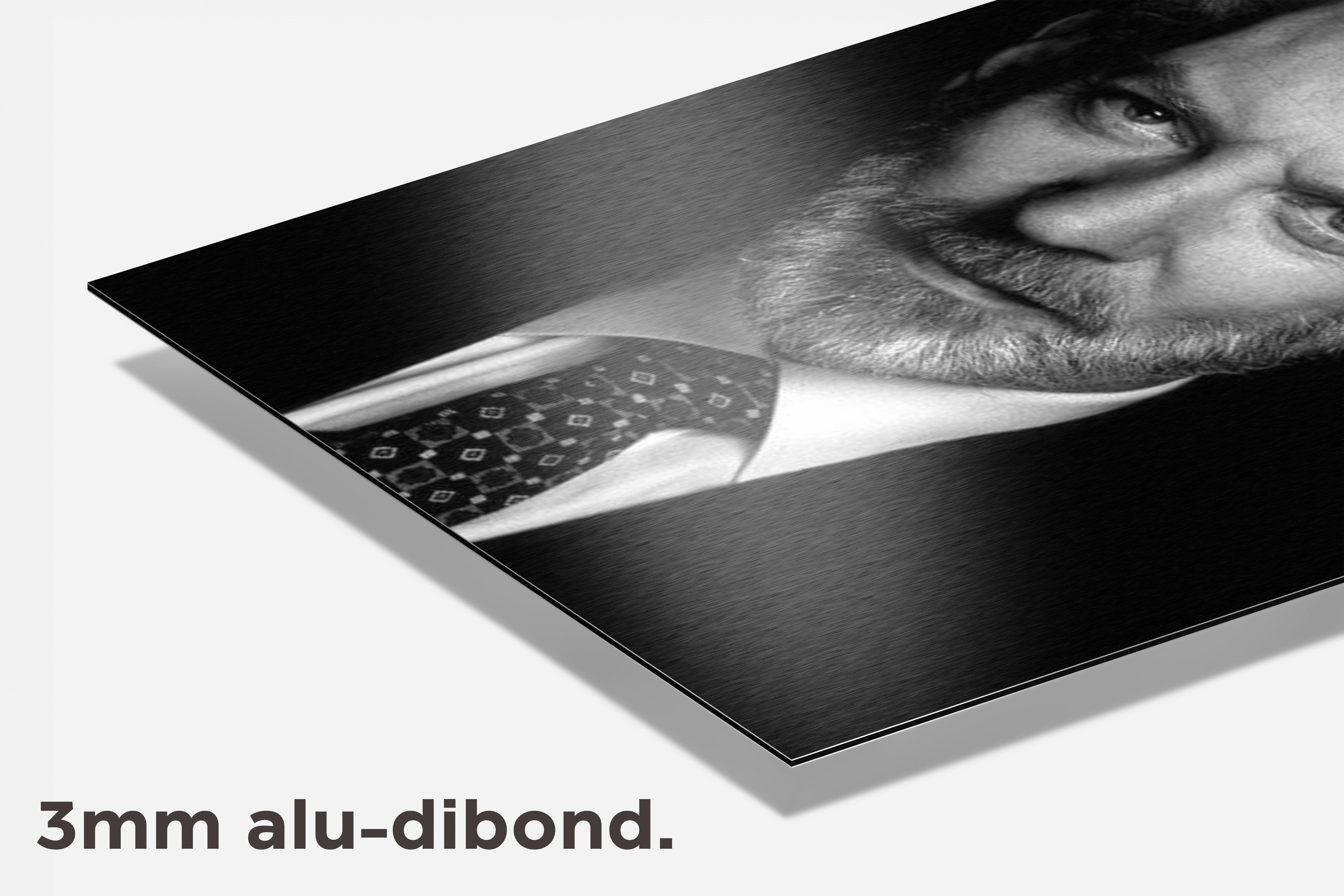Donald Sutherland dibond detail