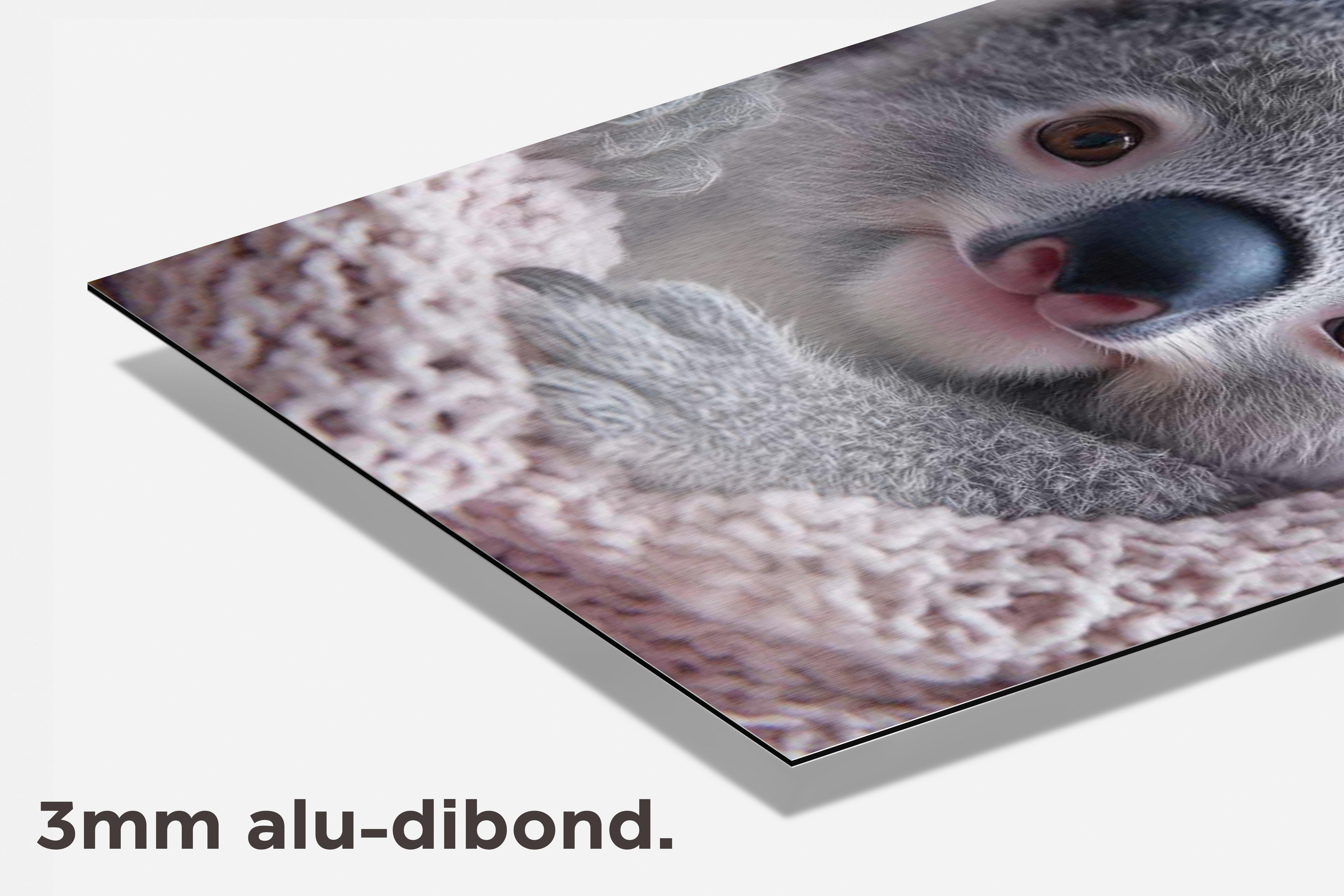 Koala dibond detail