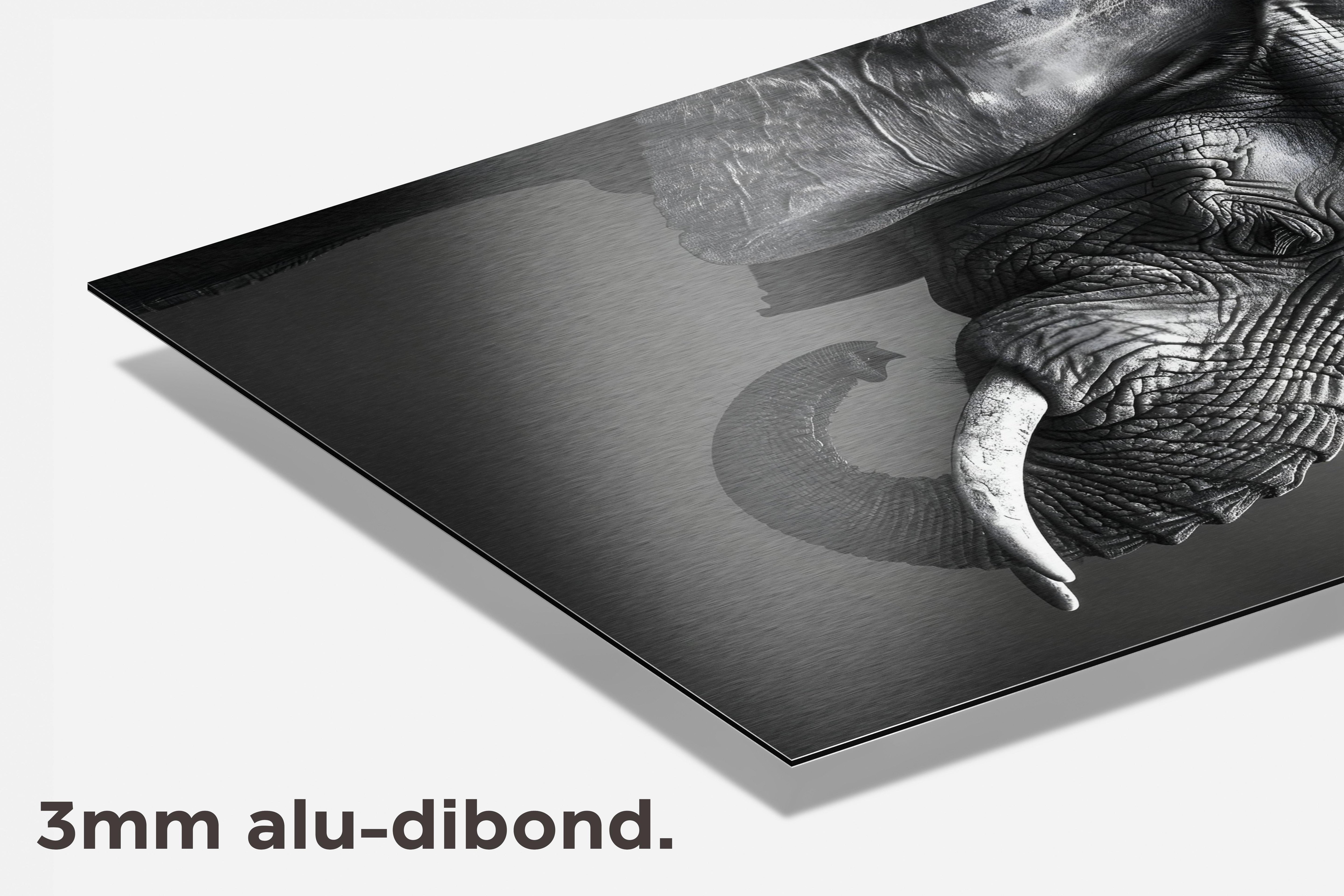Olifant dibond detail