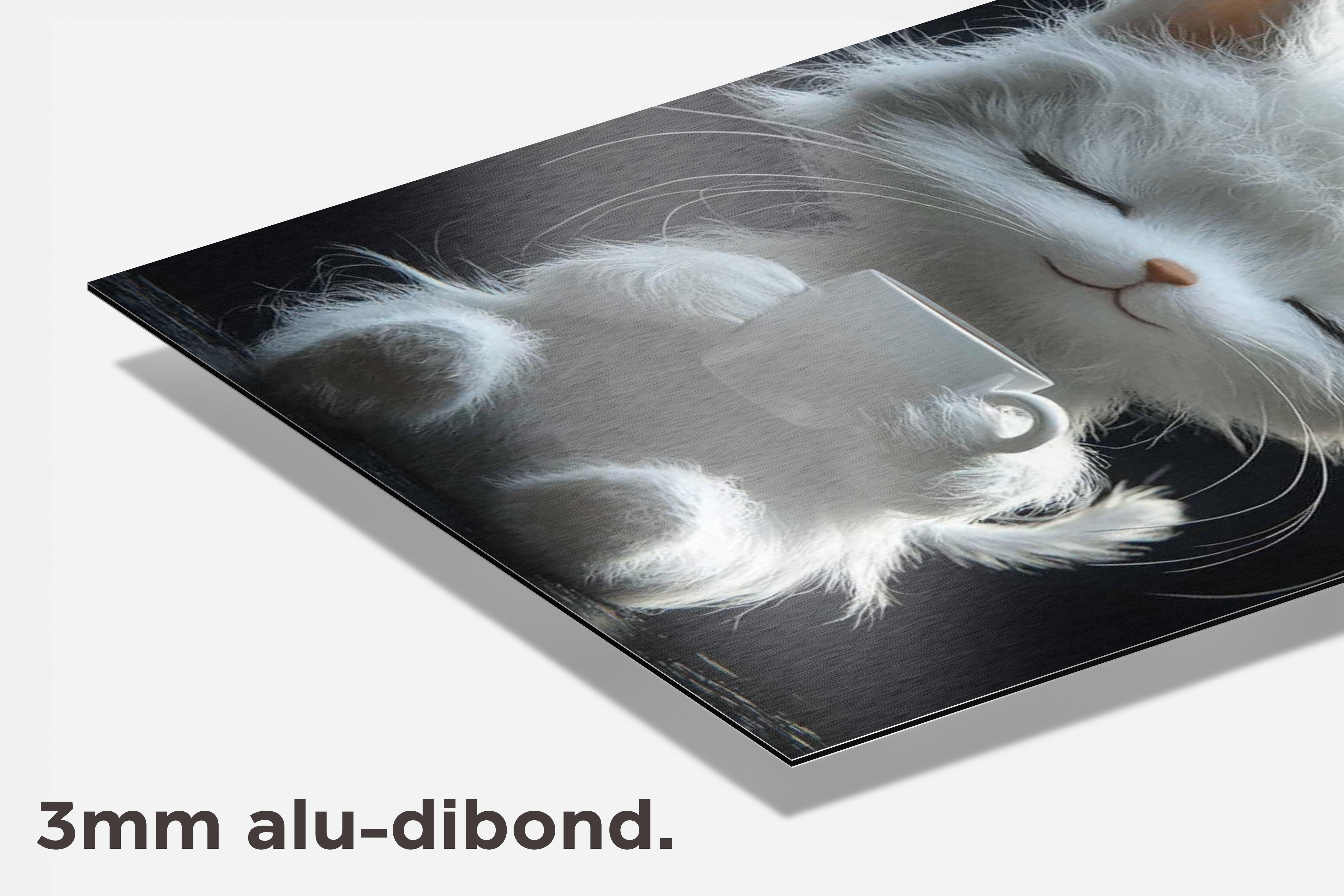 Kat Koffie dibond detail