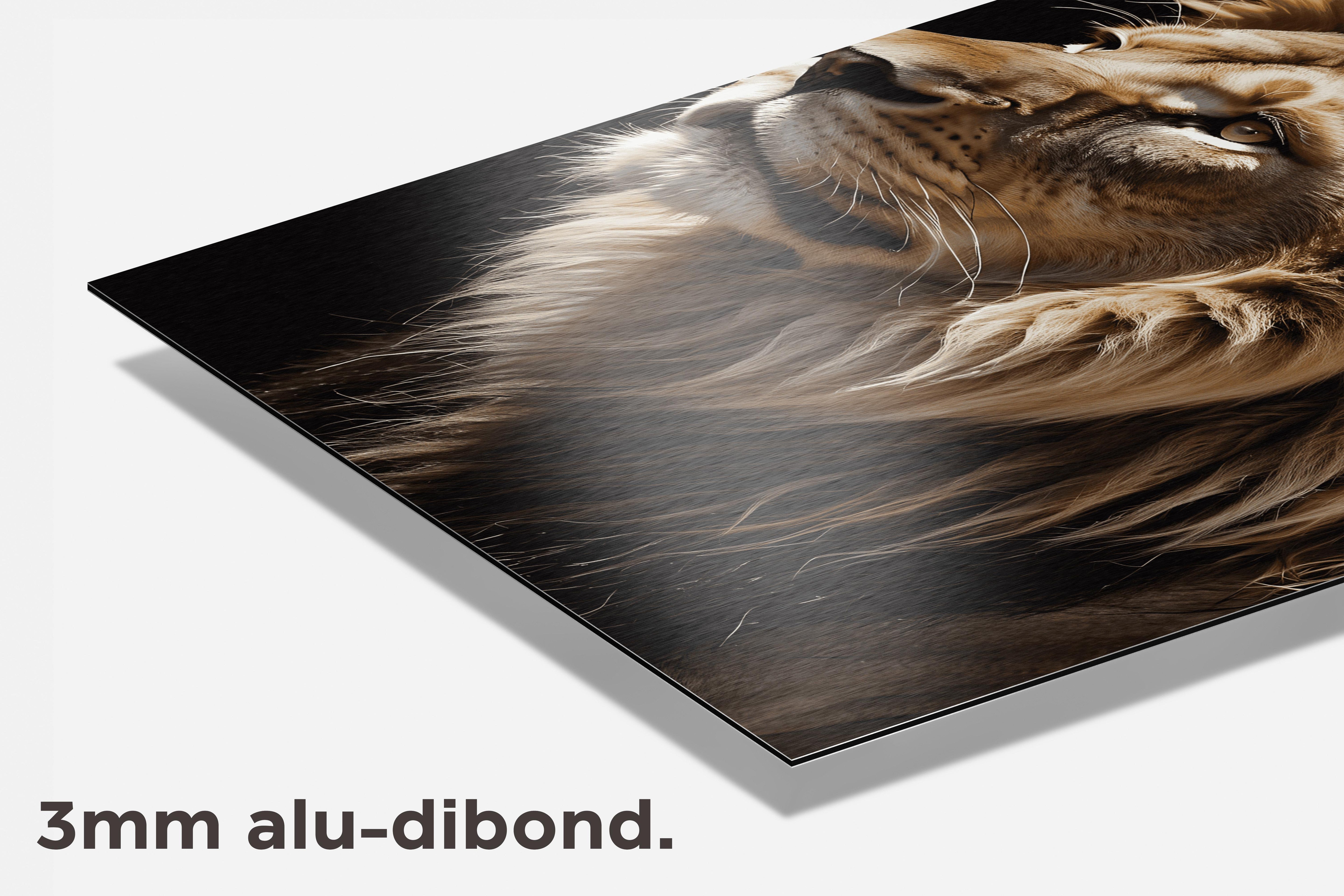Leeuw Blik dibond detail