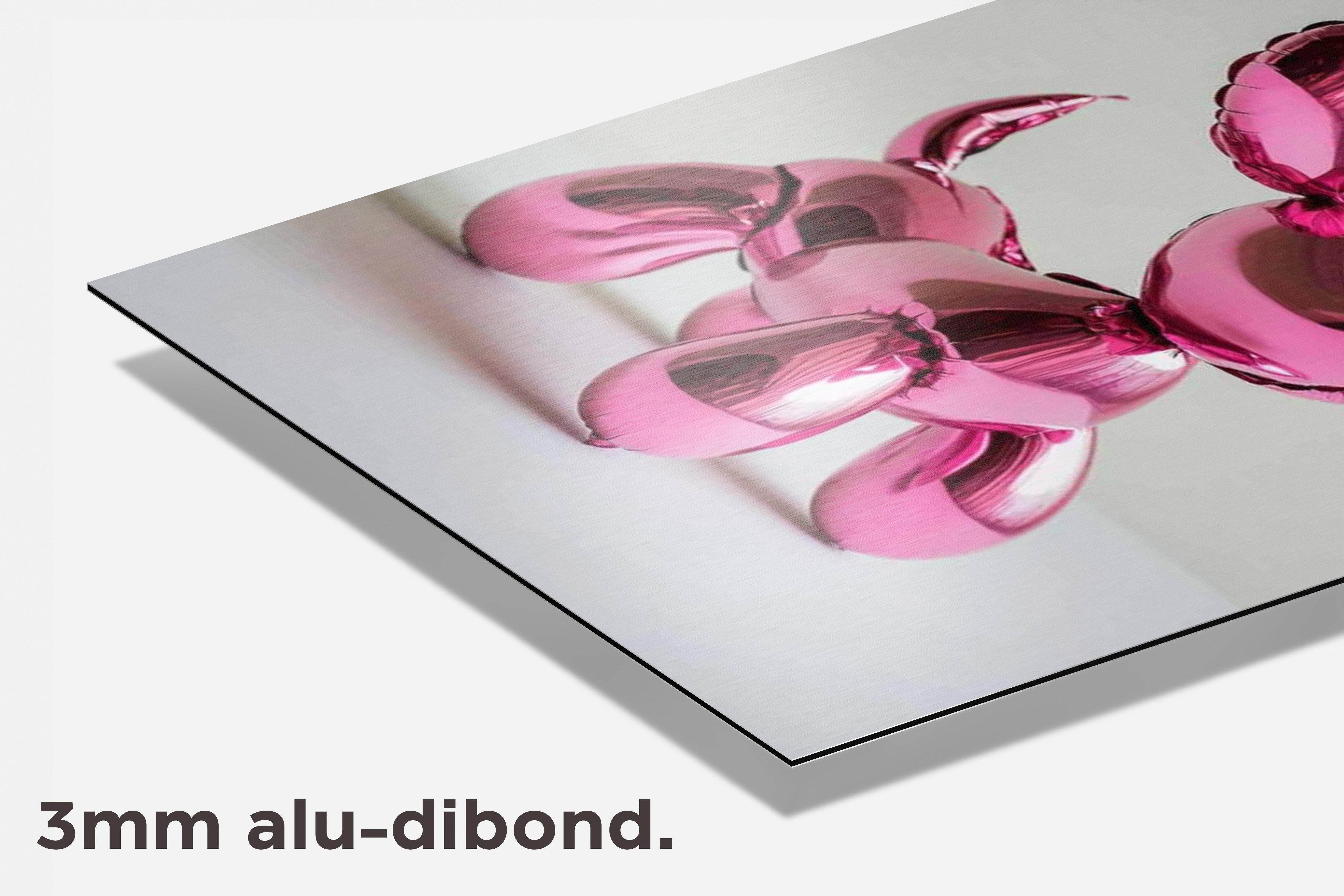 Ballon Hond dibond detail