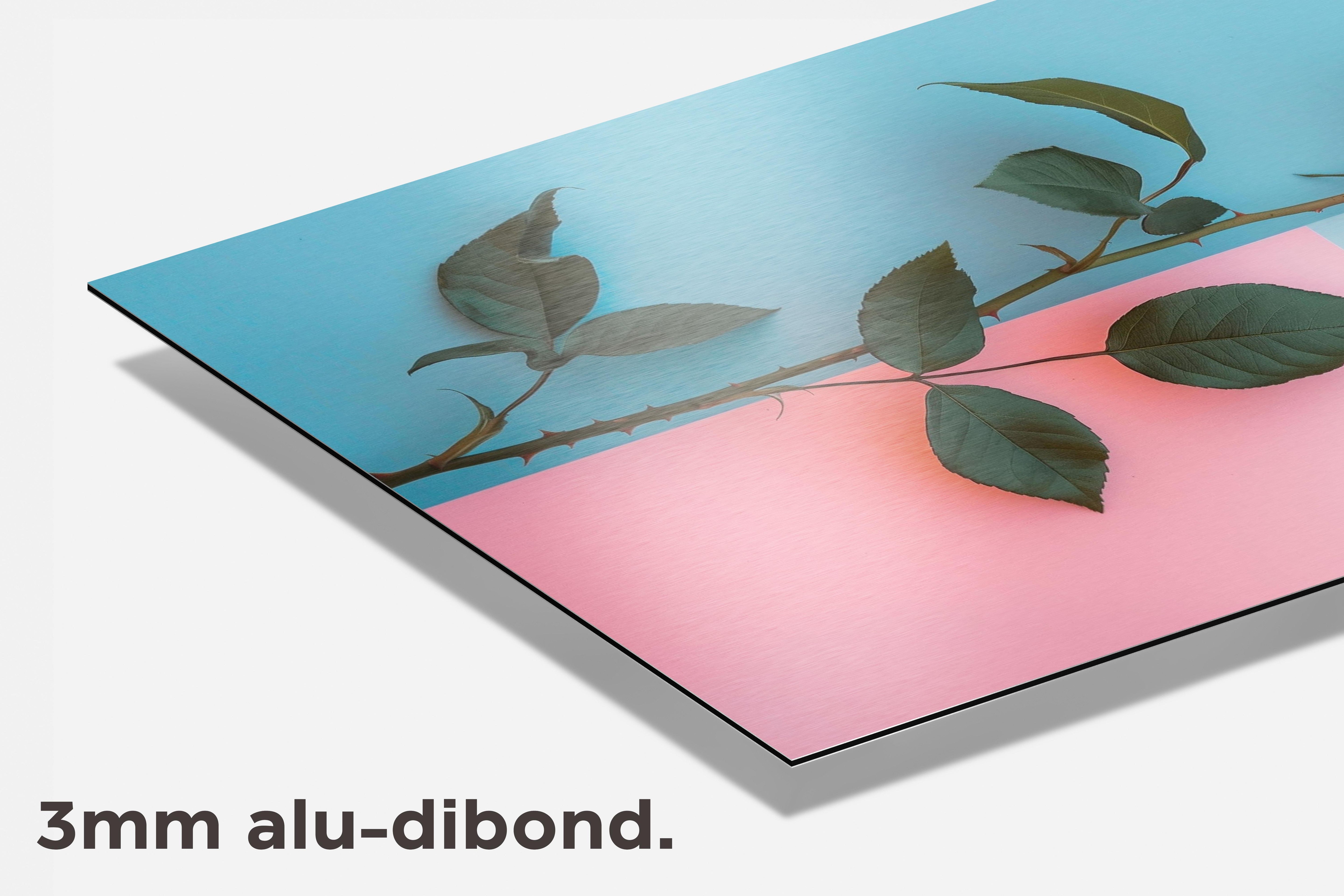 Rode Roos dibond detail