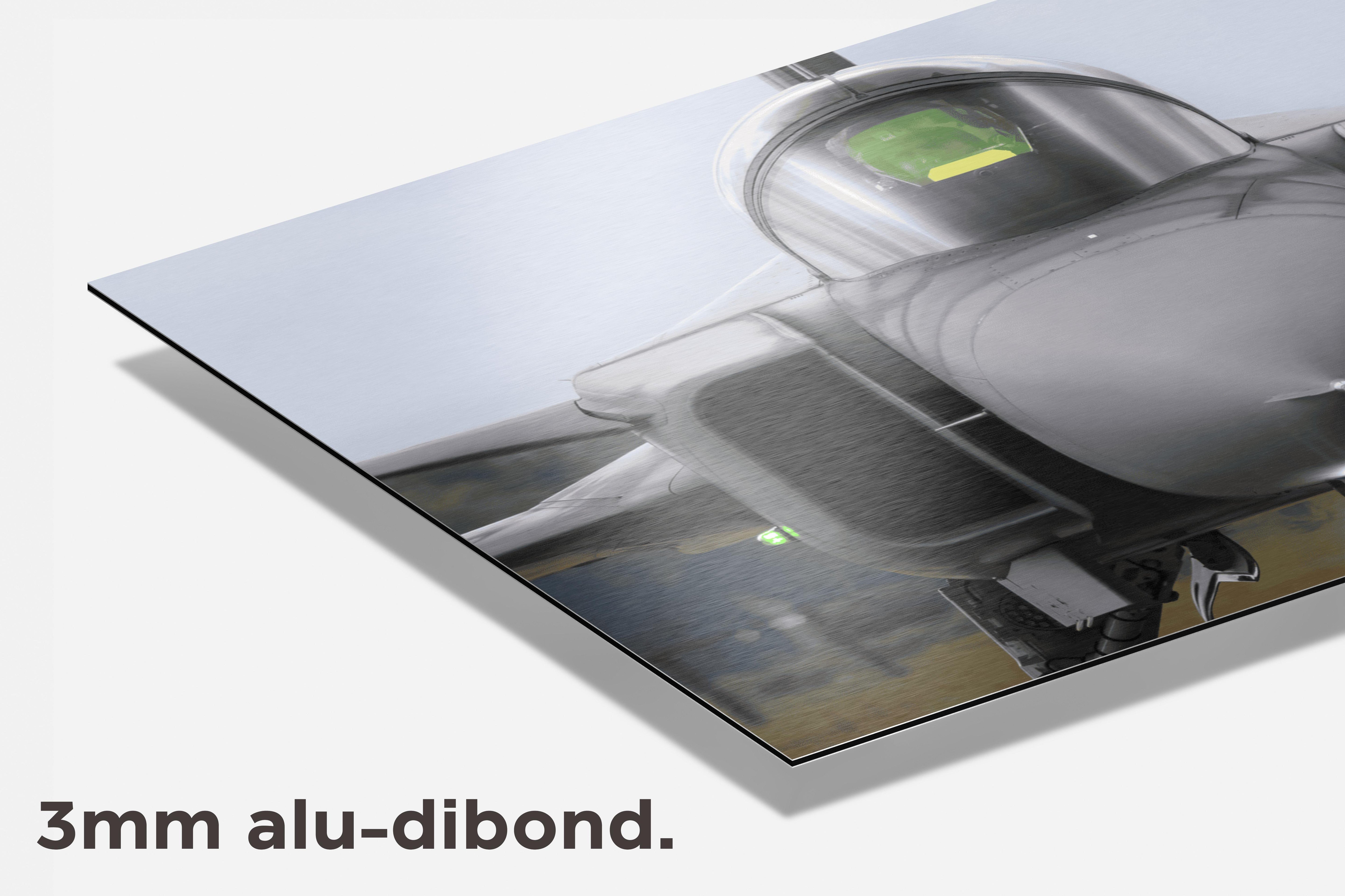 F16 met Piloot dibond detail